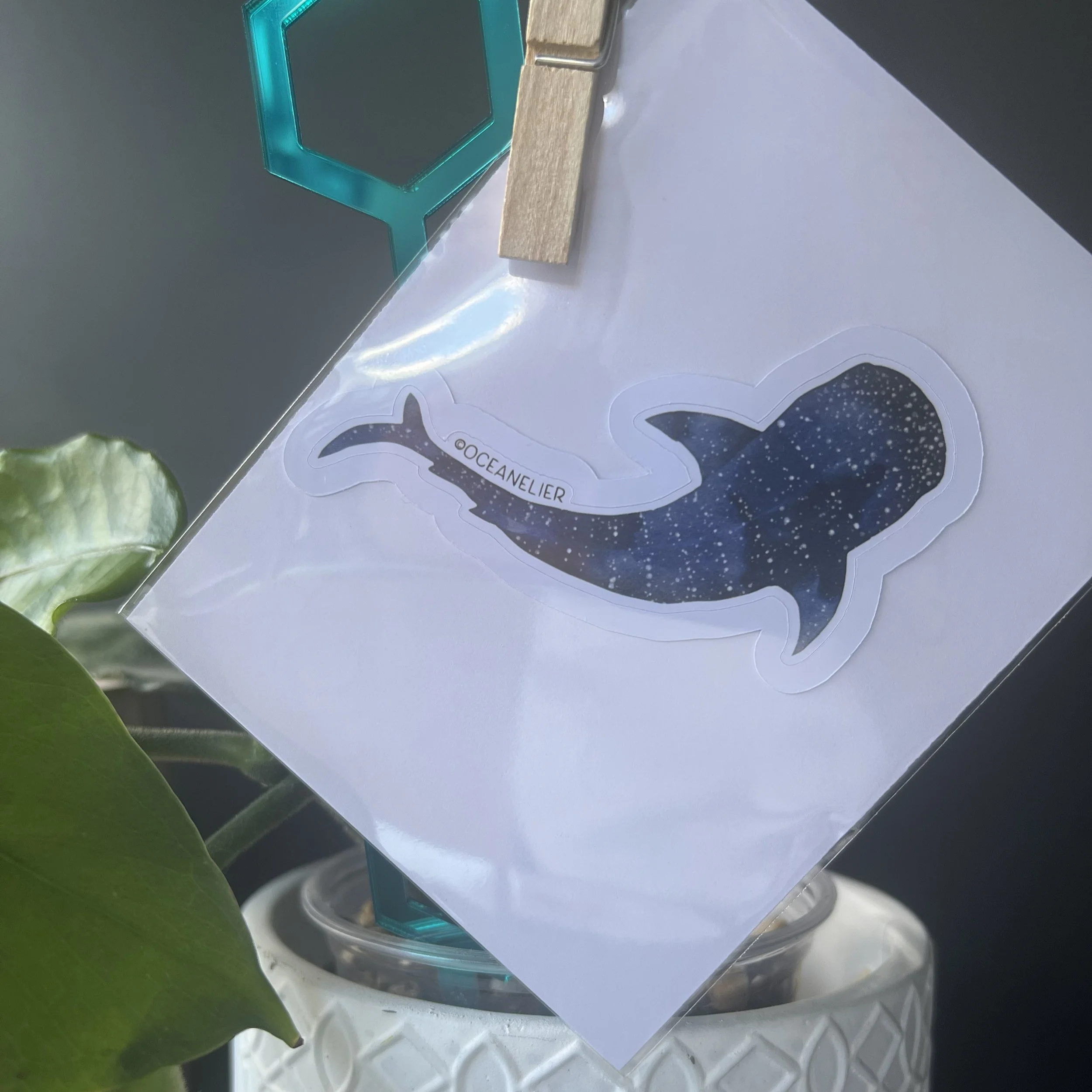 whale shark - individual sticker - oceanelier - gift - ocean inspired watercolour art - 20260323.jpg