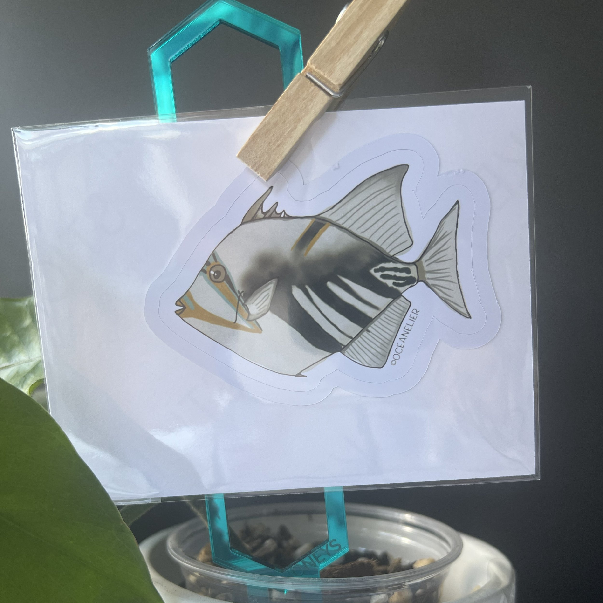 Individual Picasso Triggerfish Sticker