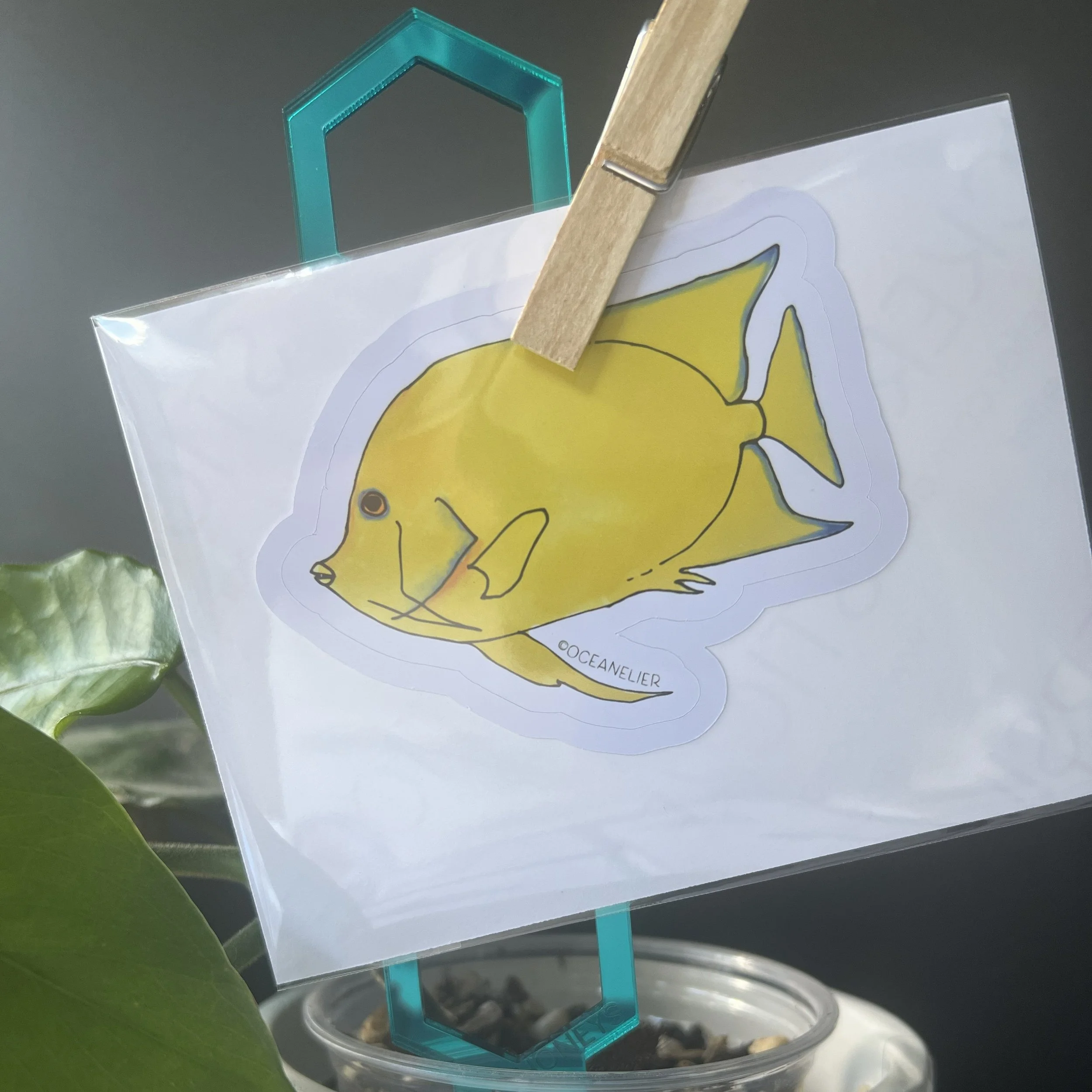 Individual Lemonpeel Angelfish Sticker