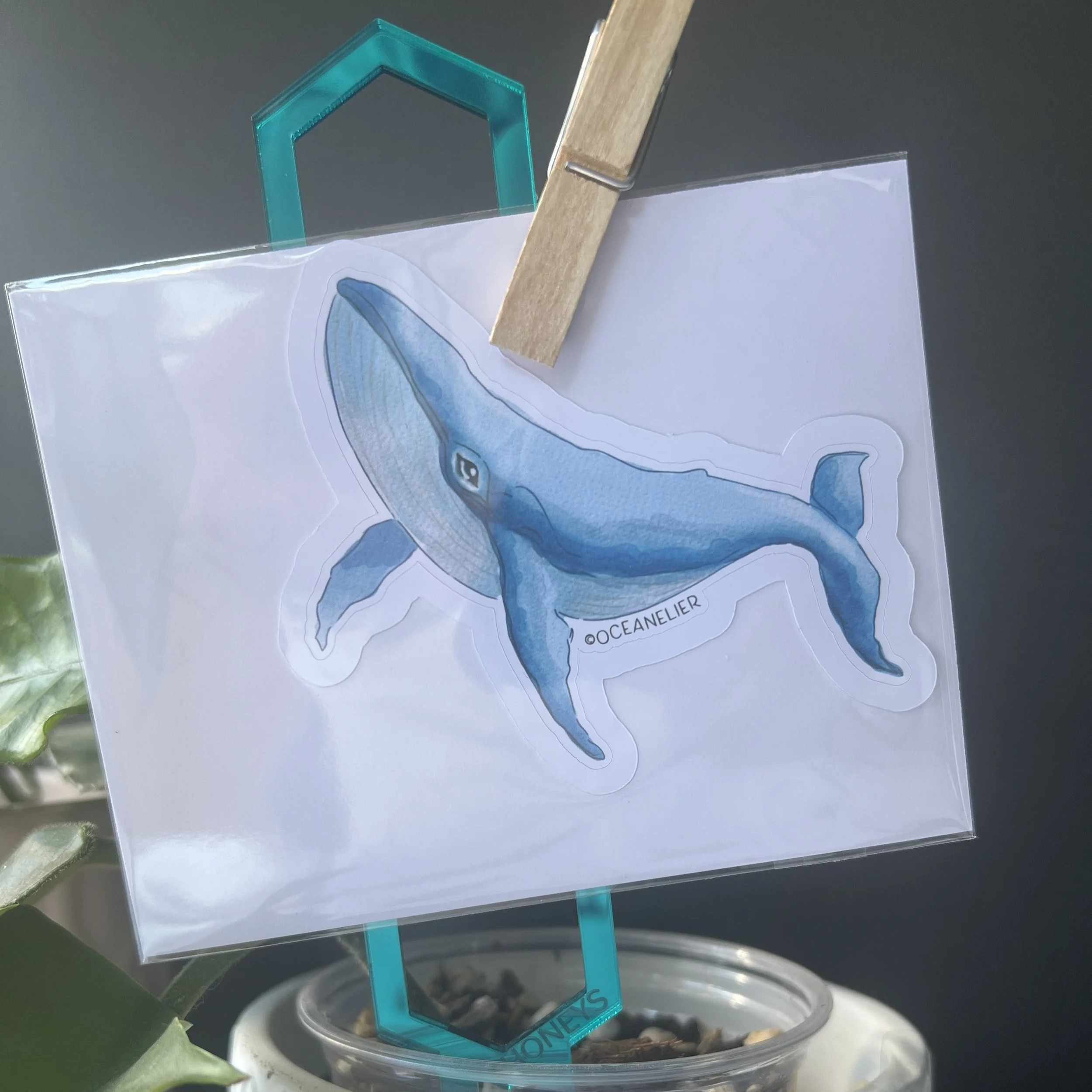 Individual Humpback Whale 1 Sticker