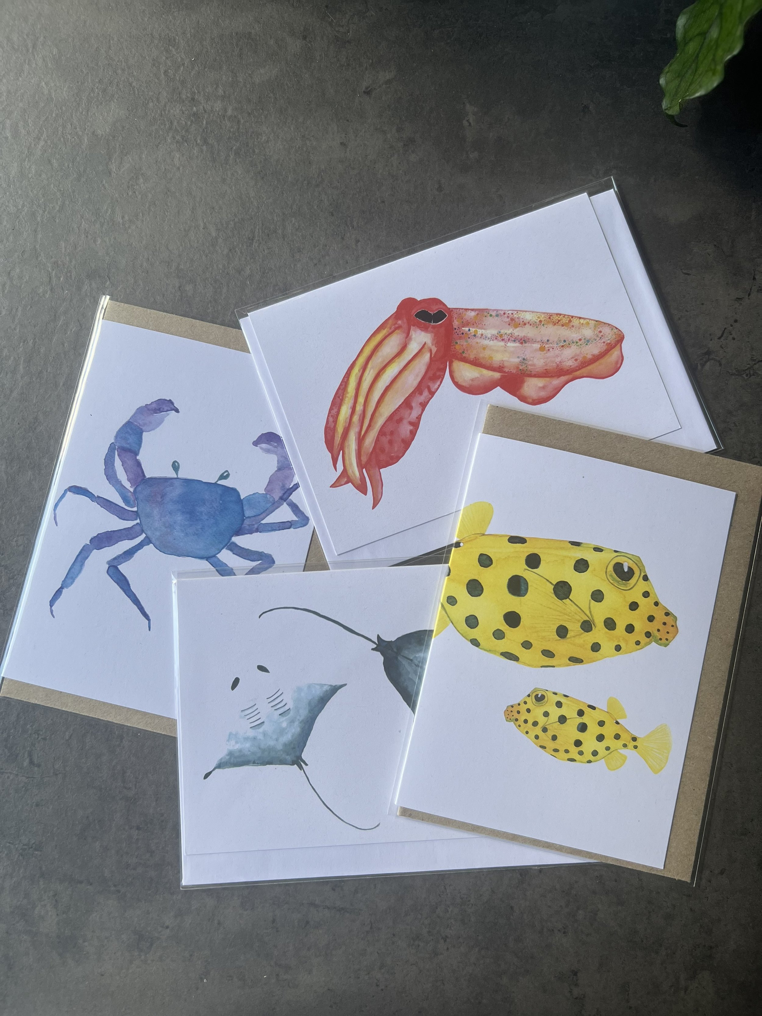 set of 4 - marine life - greeting cards - oceanelier - gift - ocean inspired - watercolour art - 20260322.jpg