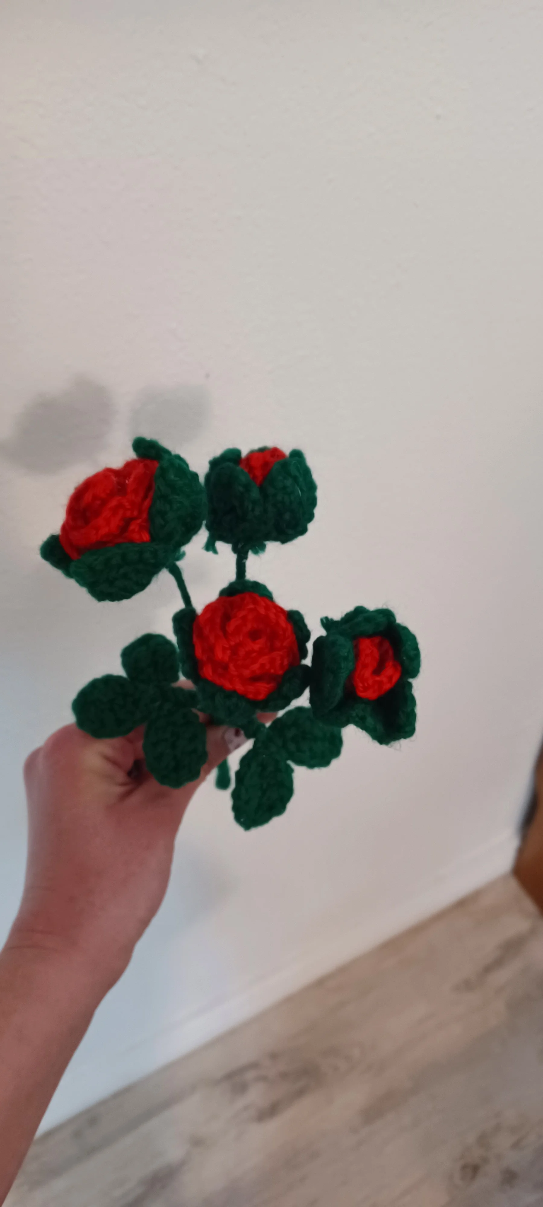 Minature Roses
