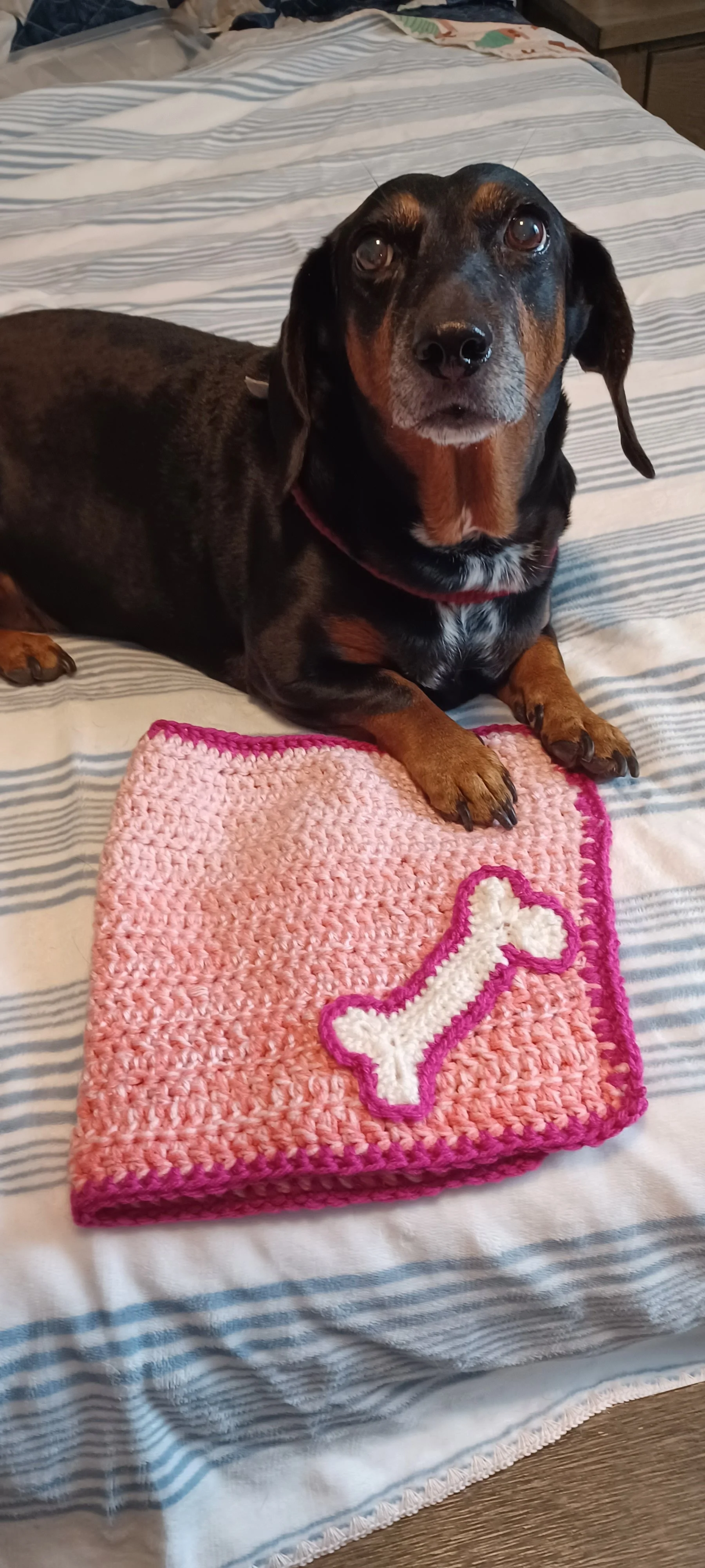 Dog food mat