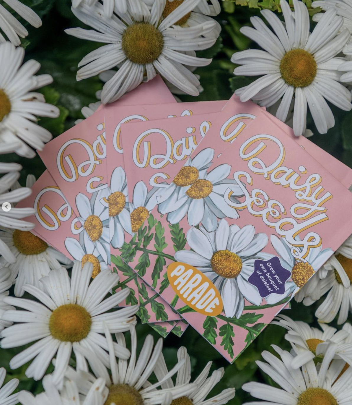 Screen Shot 2022-05-24 at 4.21.42 PM.png