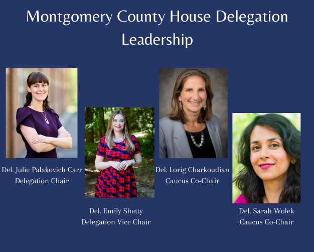 Delegation Leadership (1).png