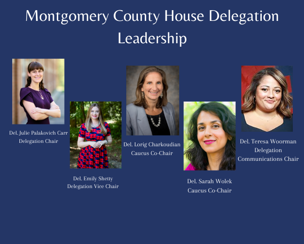 Delegation Leadership (2).png