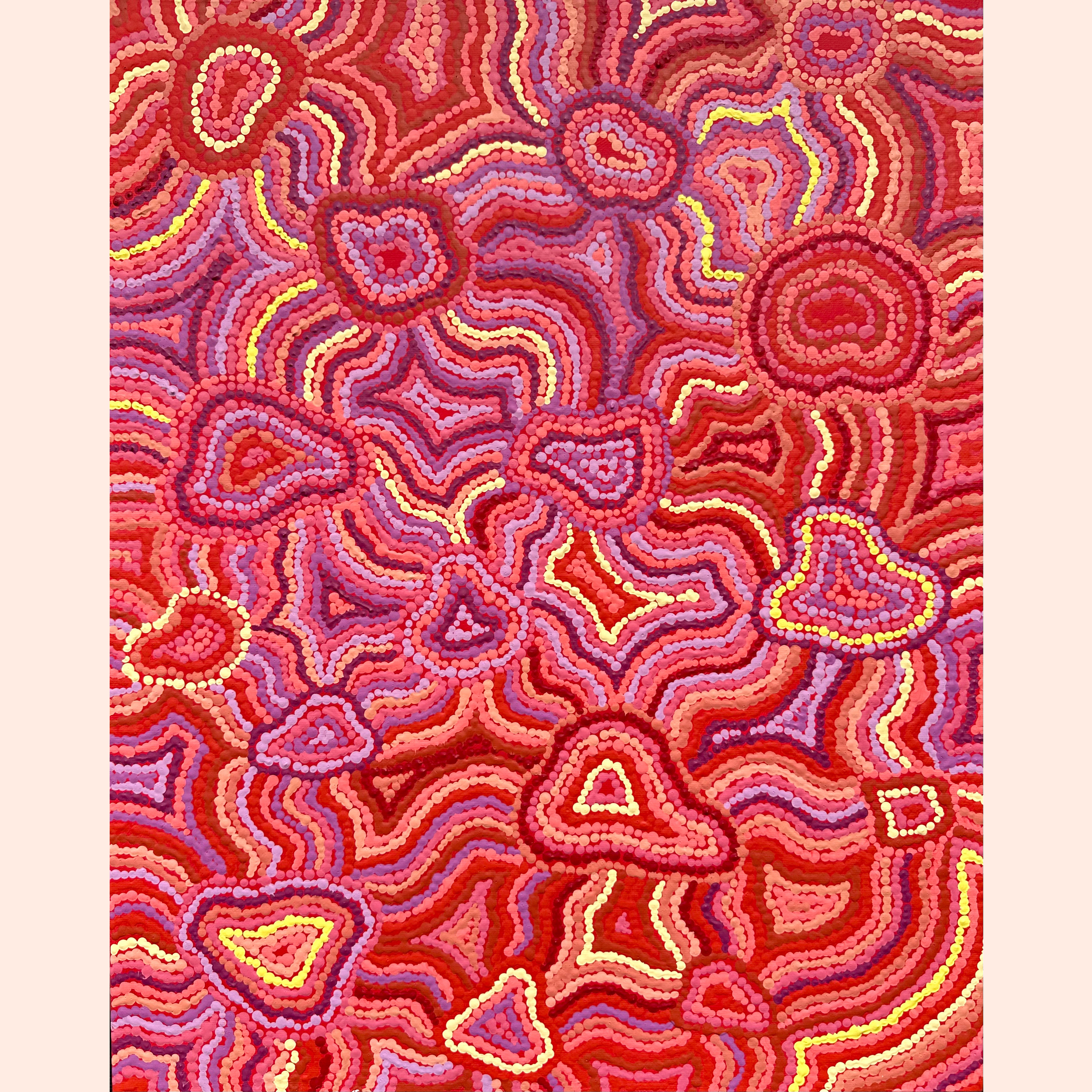 Munggu_australian First Nation Artist_Rockhampton_Frances Thompson .png