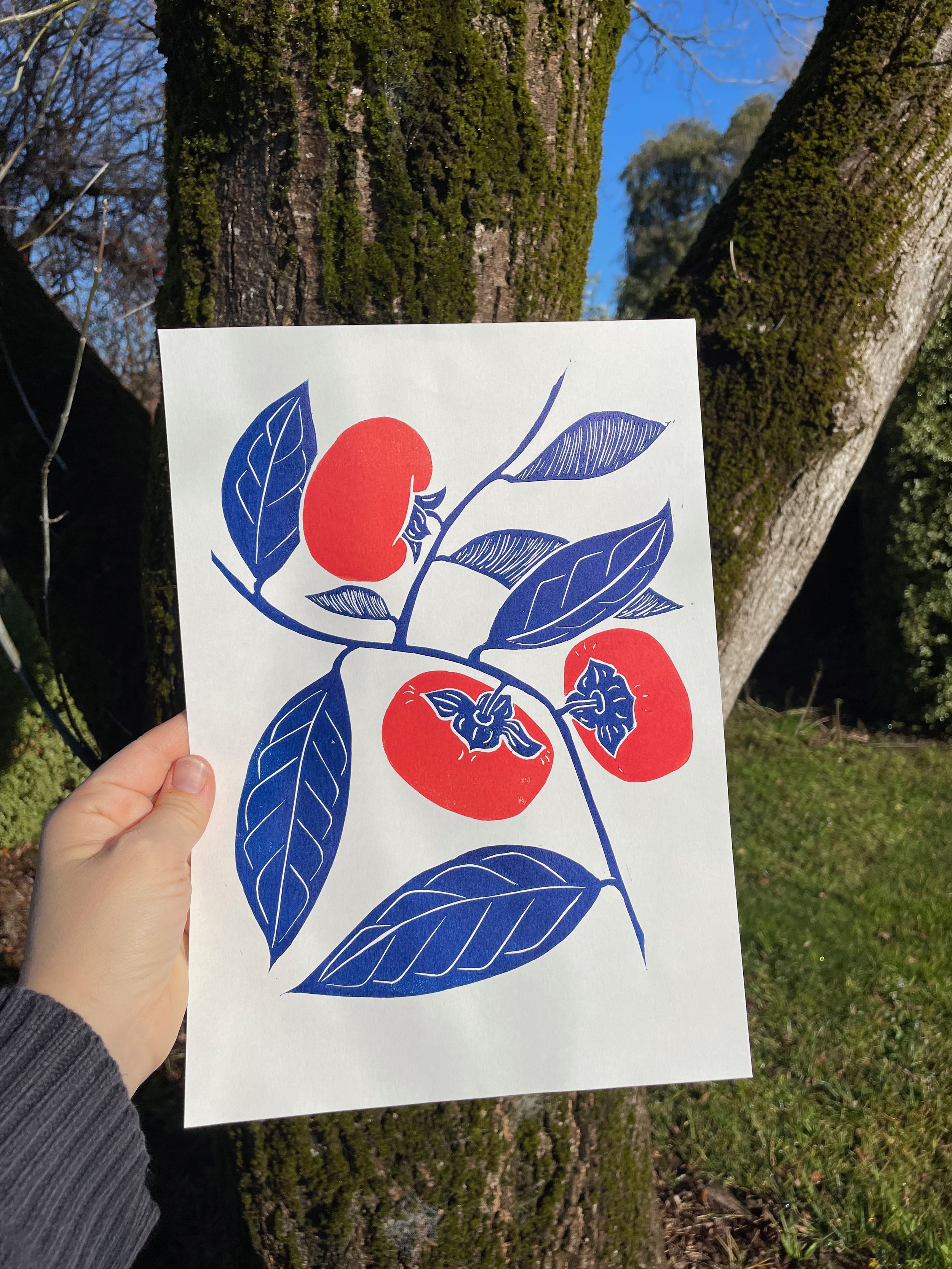 persimmon_1_handmade_linocut_art_joy_catalogue_prints_vibrant_wallart_orange_nsw_sydney.jpeg