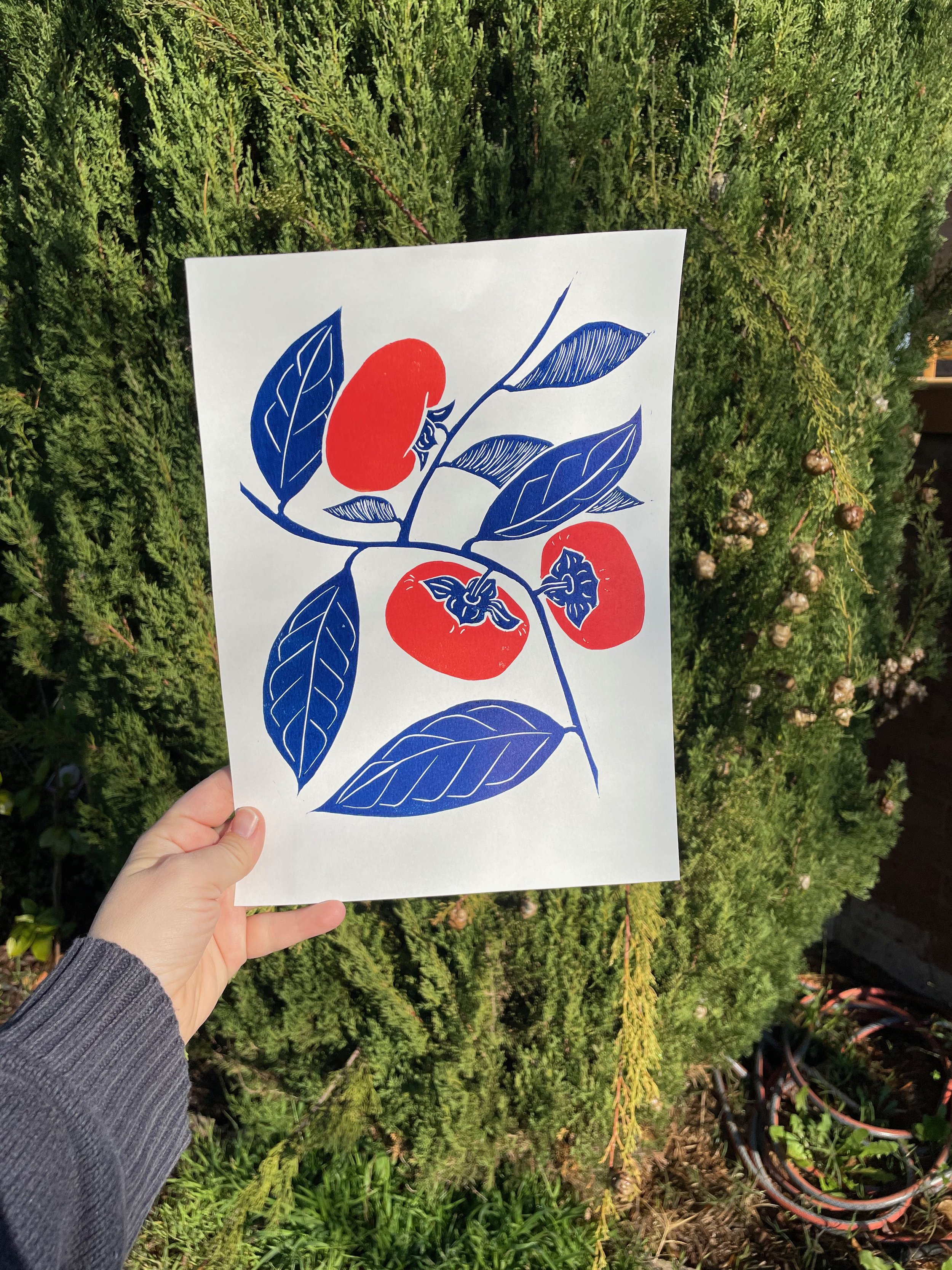 persimmon_2_handmade_linocut_art_joy_catalogue_prints_vibrant_wallart_orange_nsw_sydney.jpeg