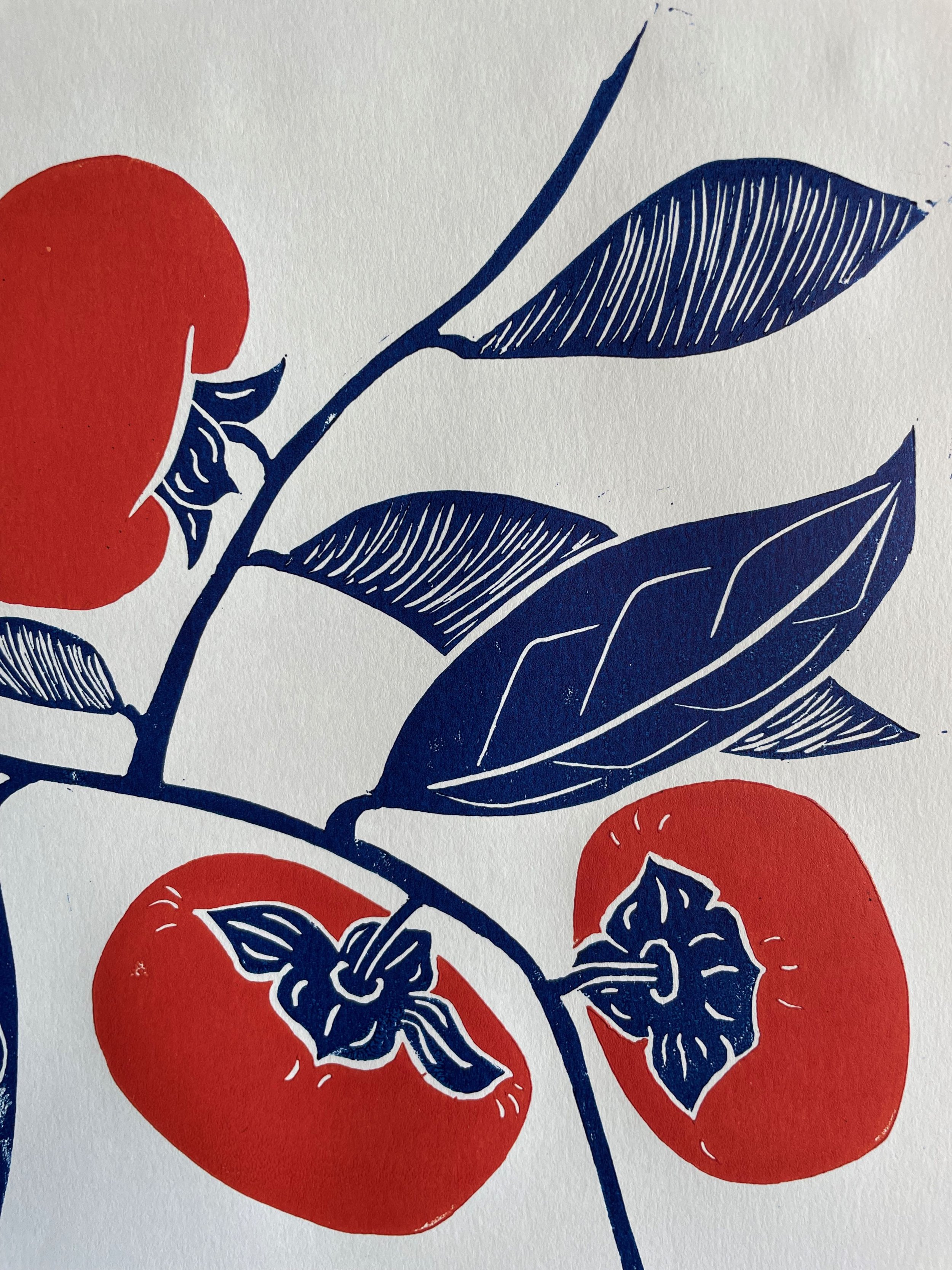 persimmon_4_handmade_linocut_art_joy_catalogue_prints_vibrant_wallart_orange_nsw_sydney.jpeg