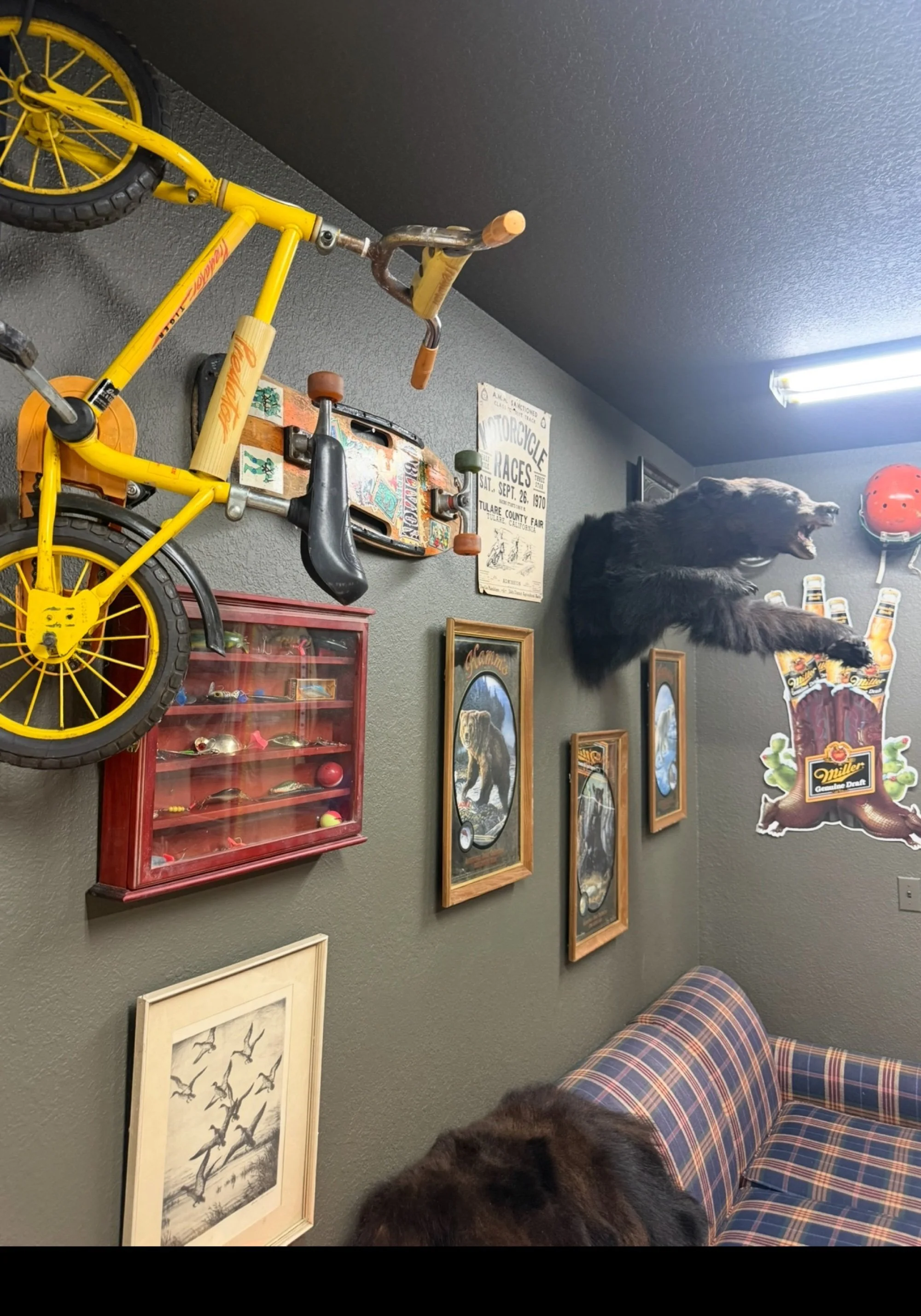 sf-lounge-bike.jpg