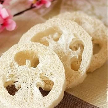 loofah slices.jpg