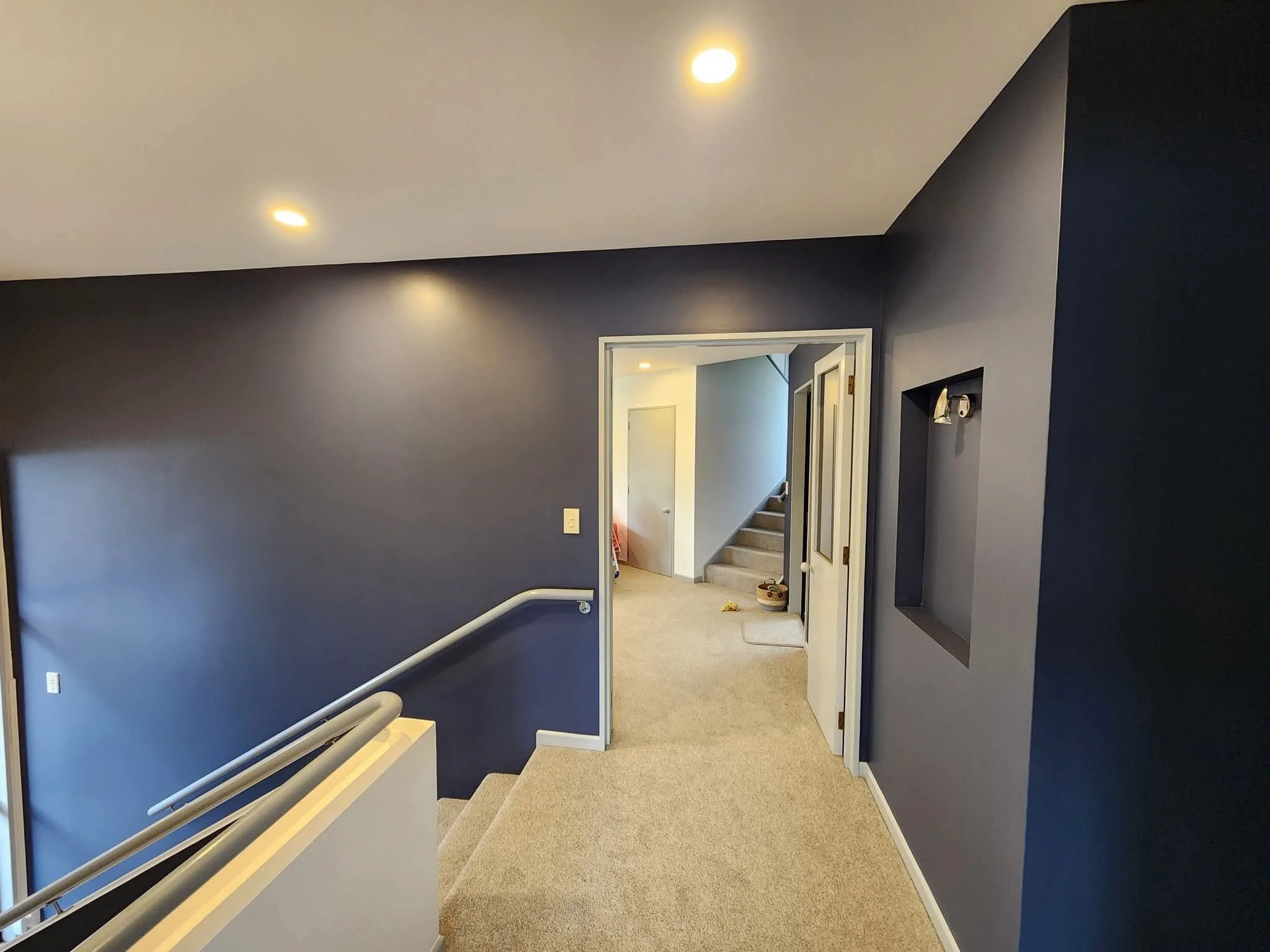 Dunedin.house.painter.jpg