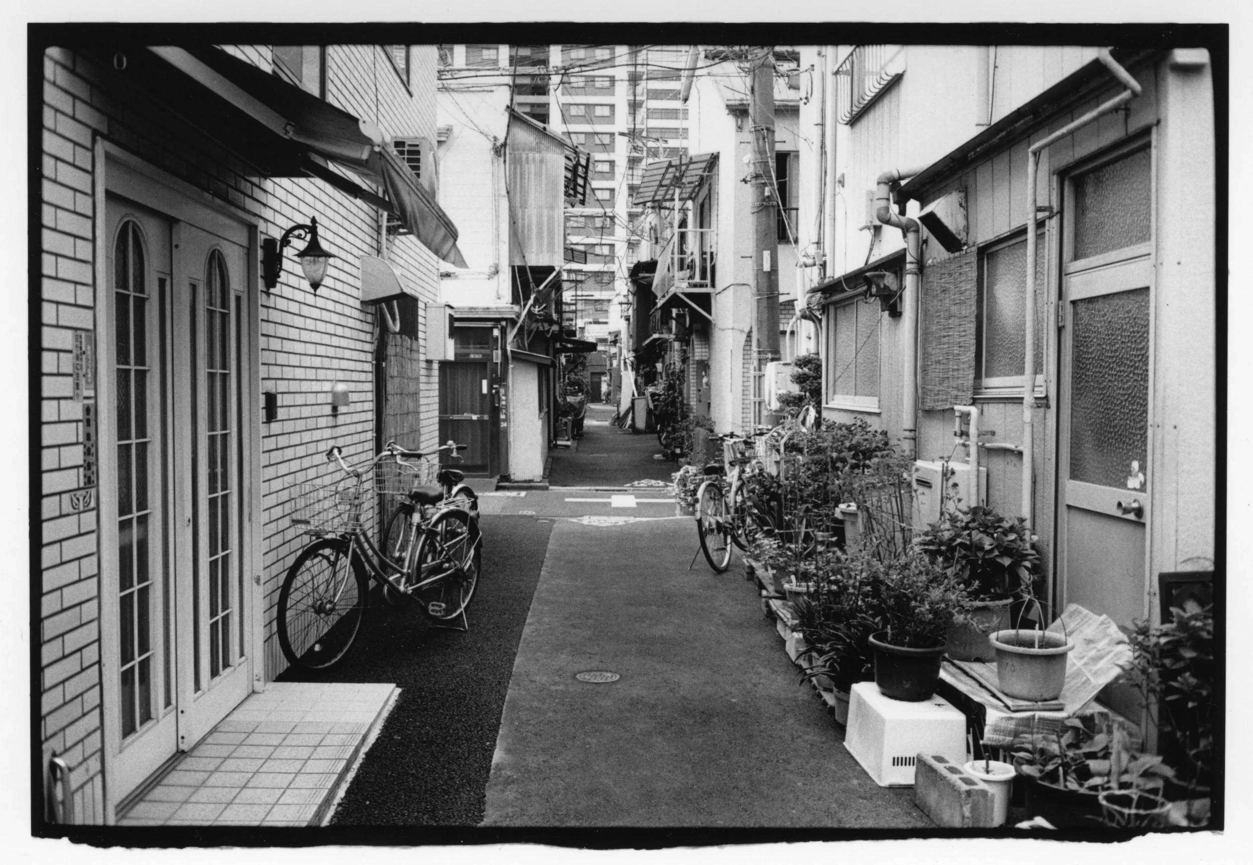 Andy J DM Edit0002.jpg