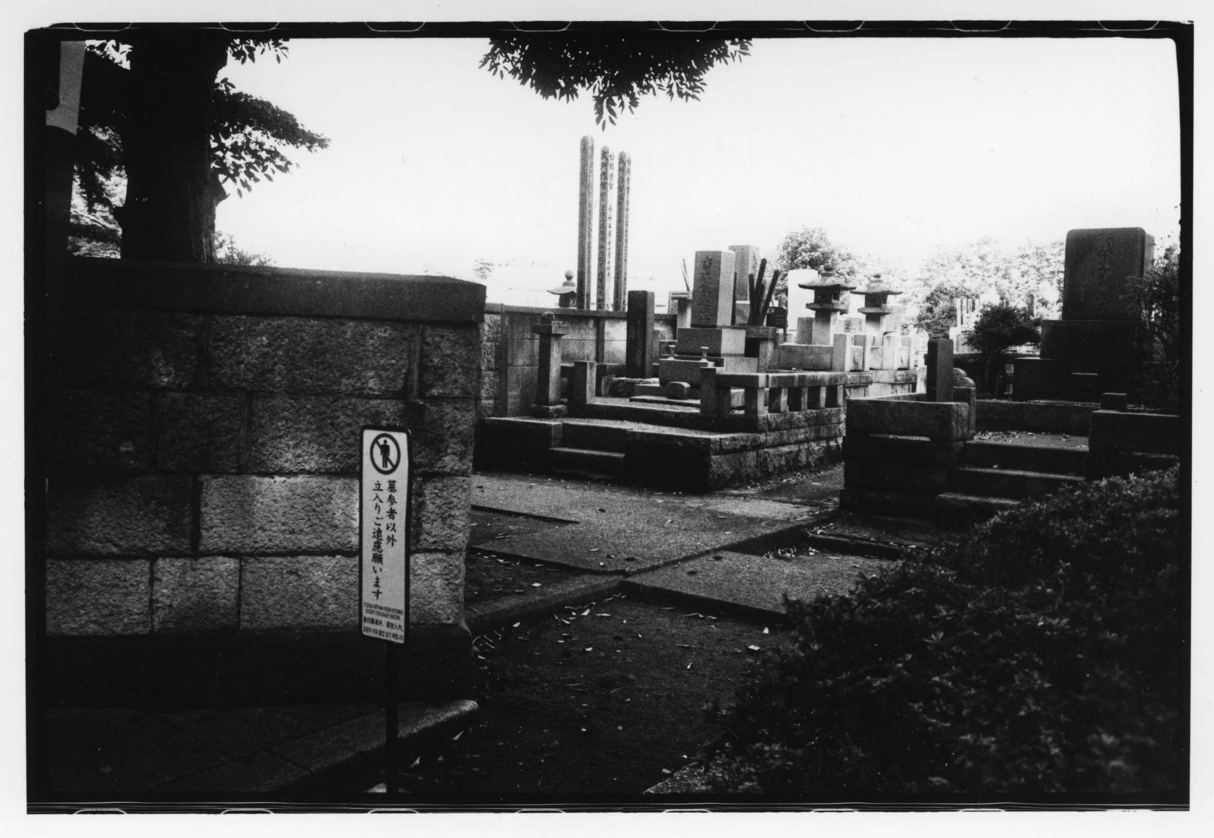 Andy J DM Edit0003.jpg