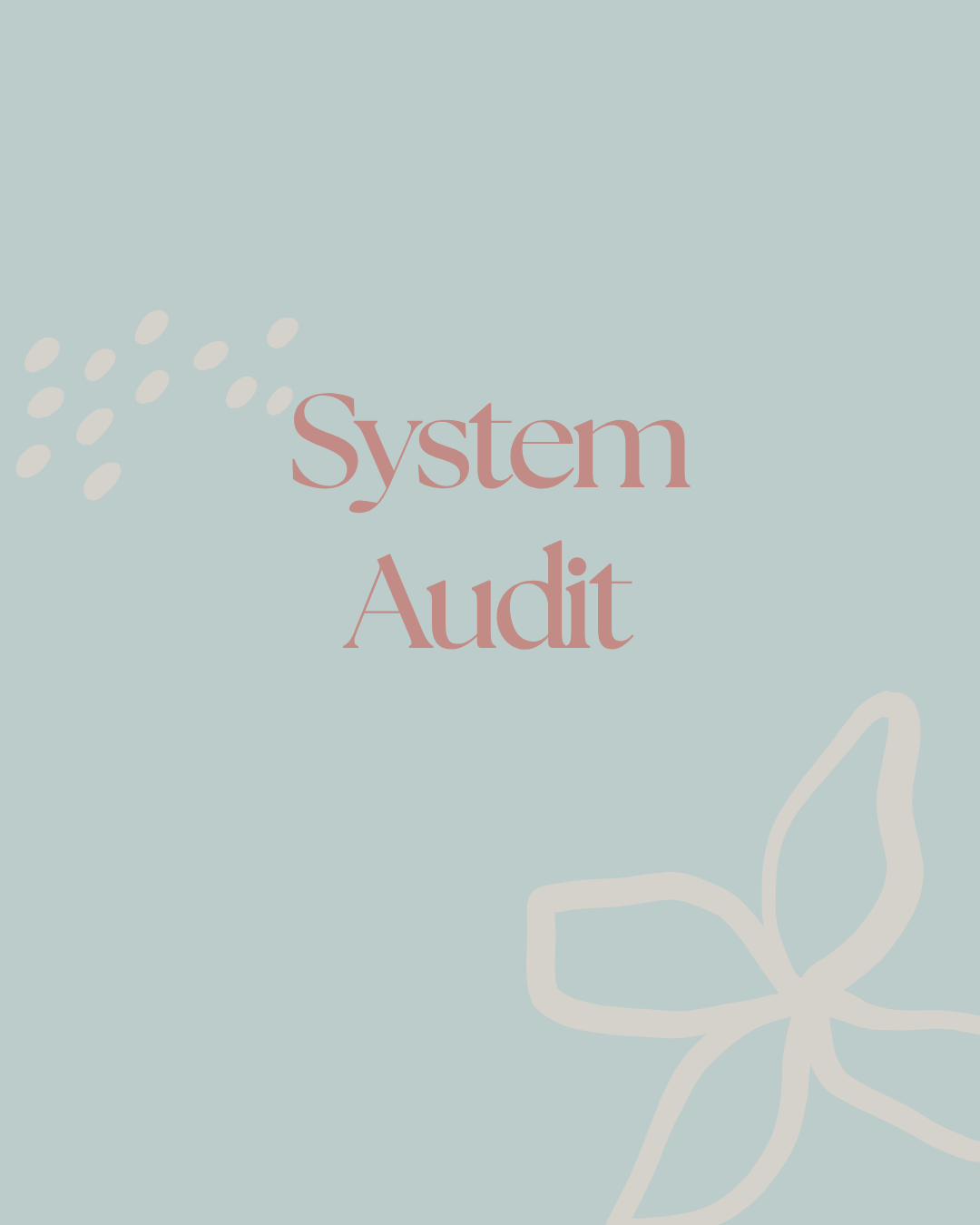 System Audit.png