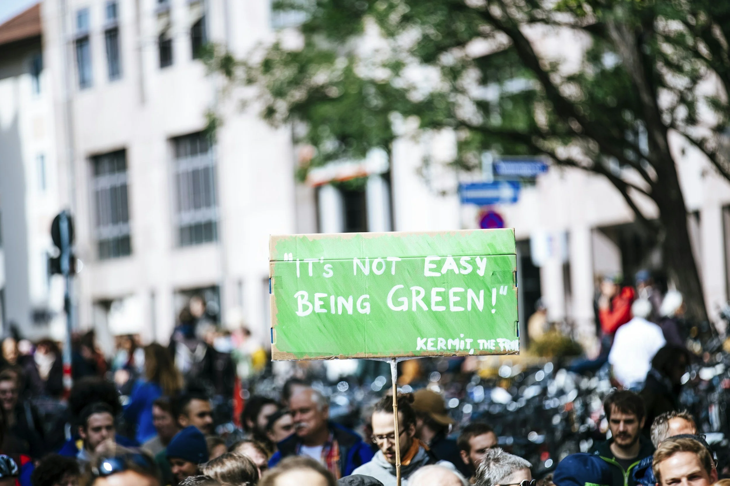 Avoiding Greenwashing in Your Packaging Choices