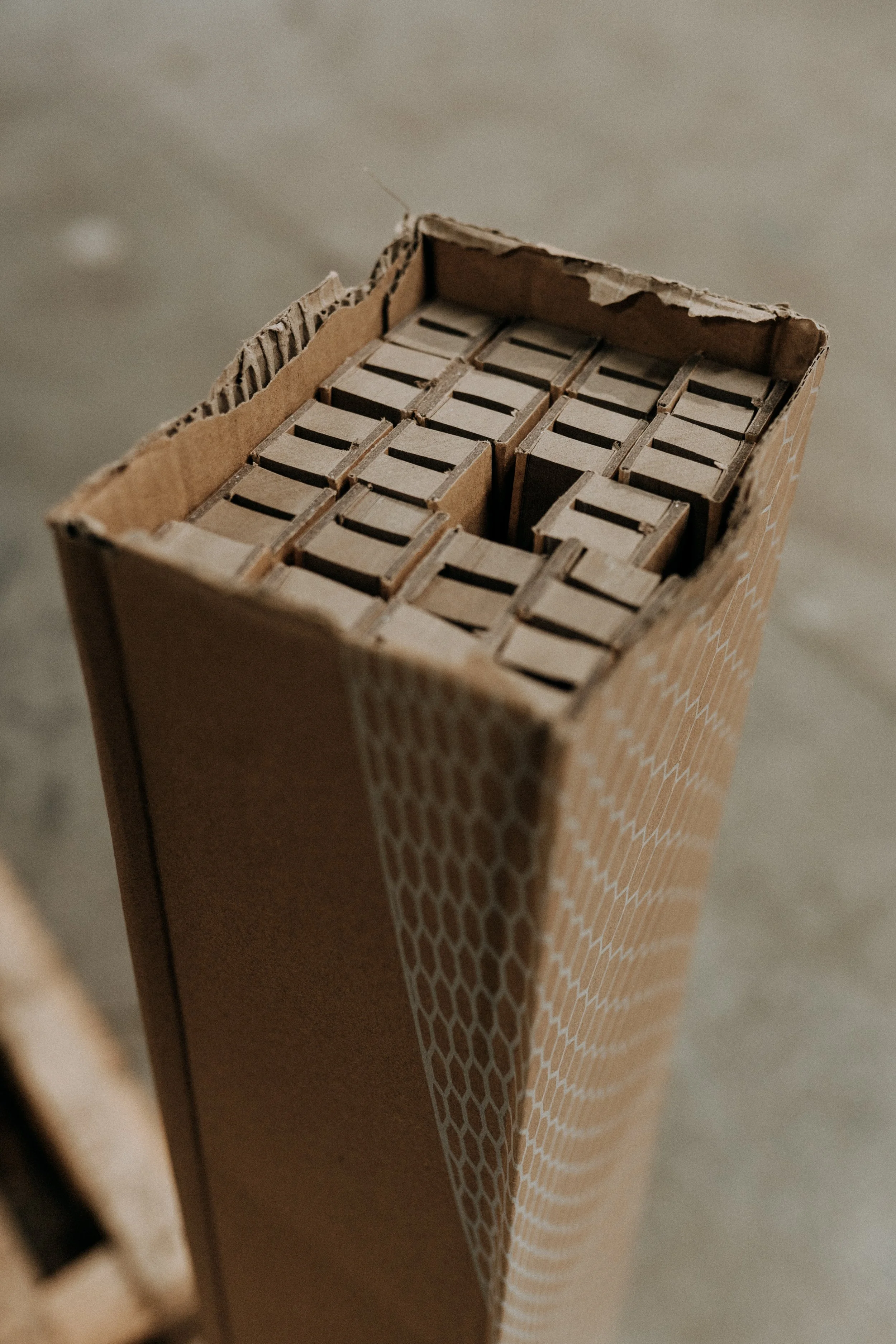 Opened cardboard box with hexagonal pattern, filled with smaller boxed products.
