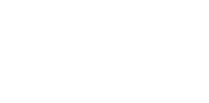 MAW Young Professionals