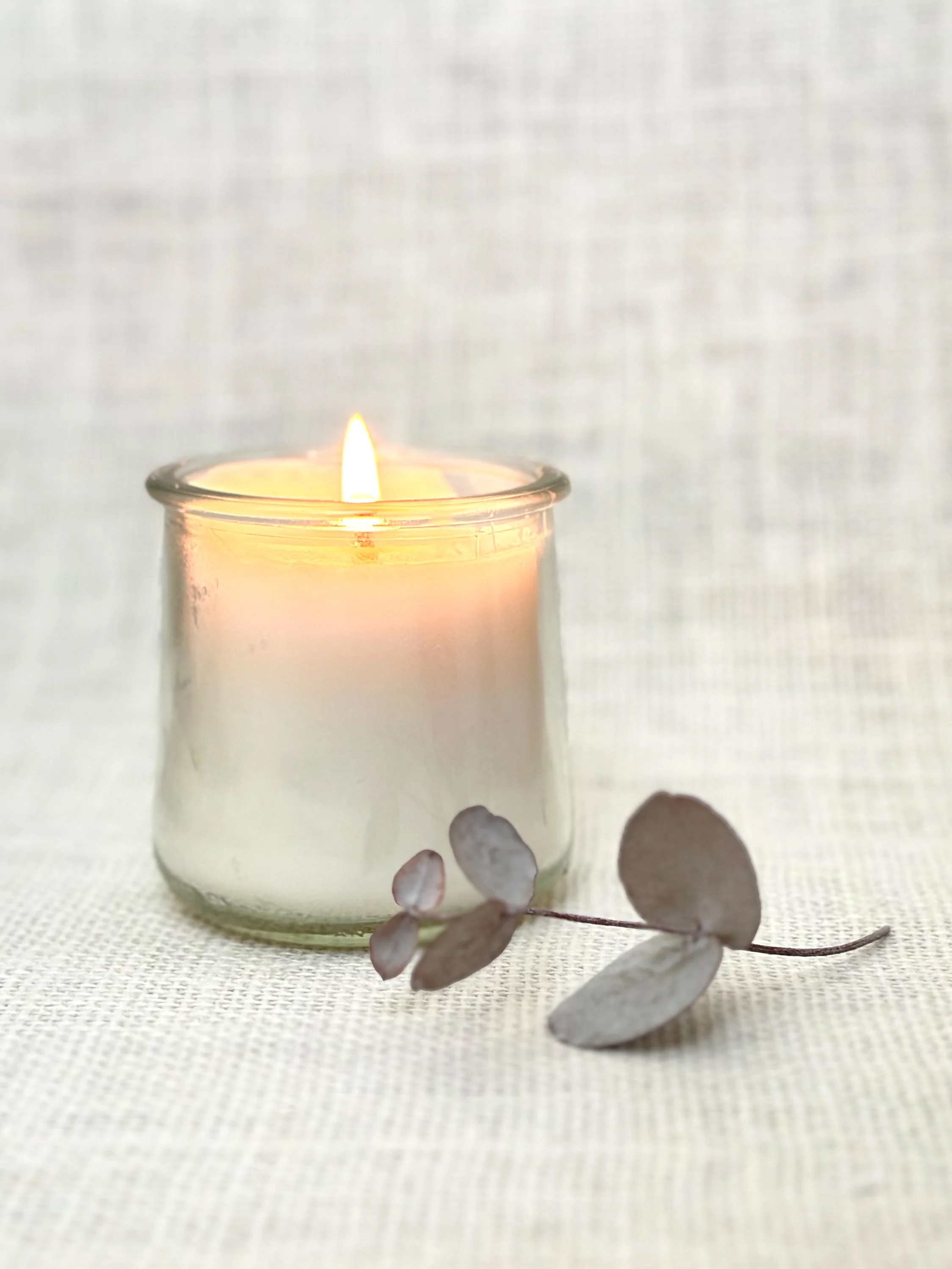 rooted candle