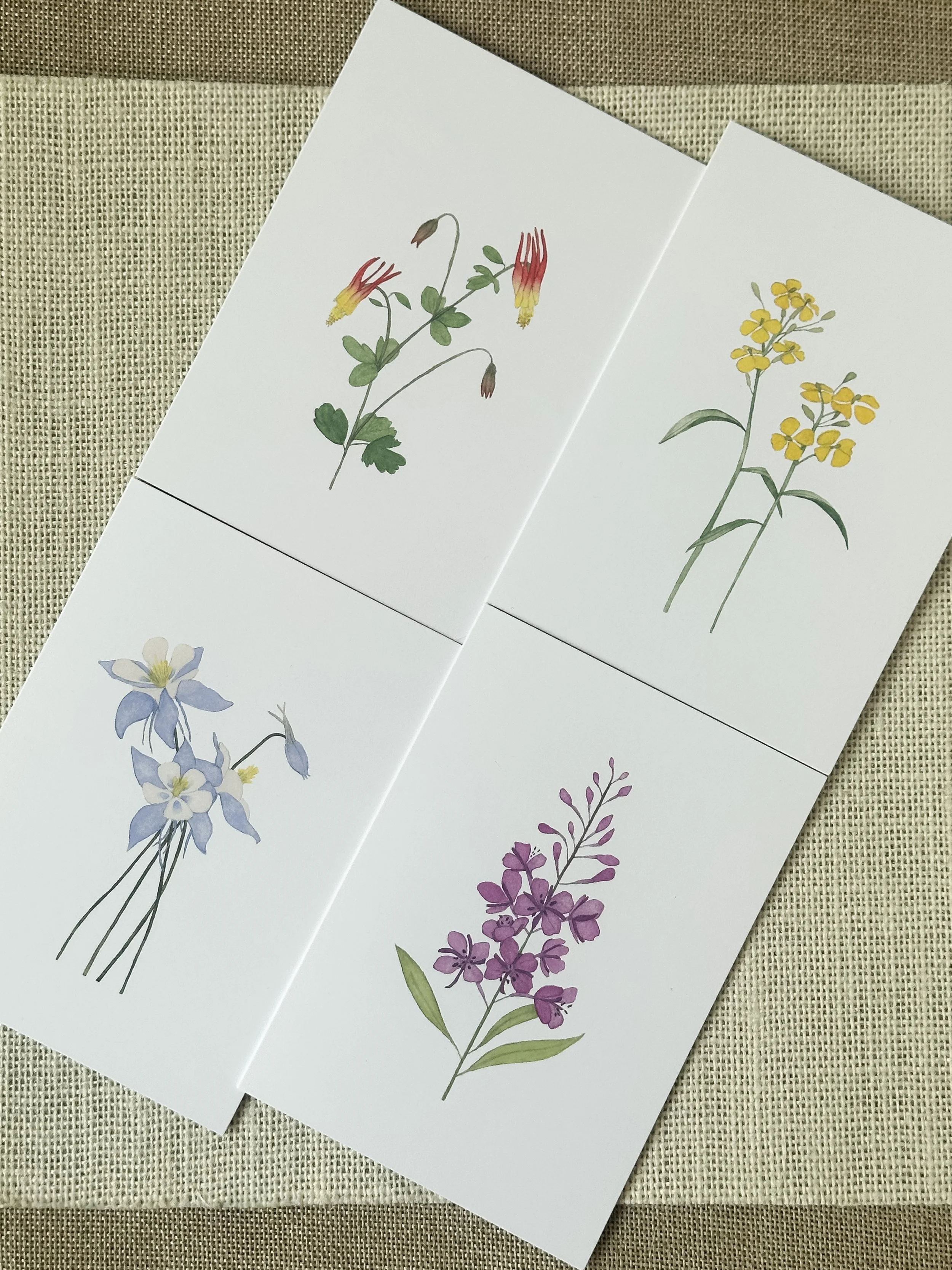wildflower art print card set of 4