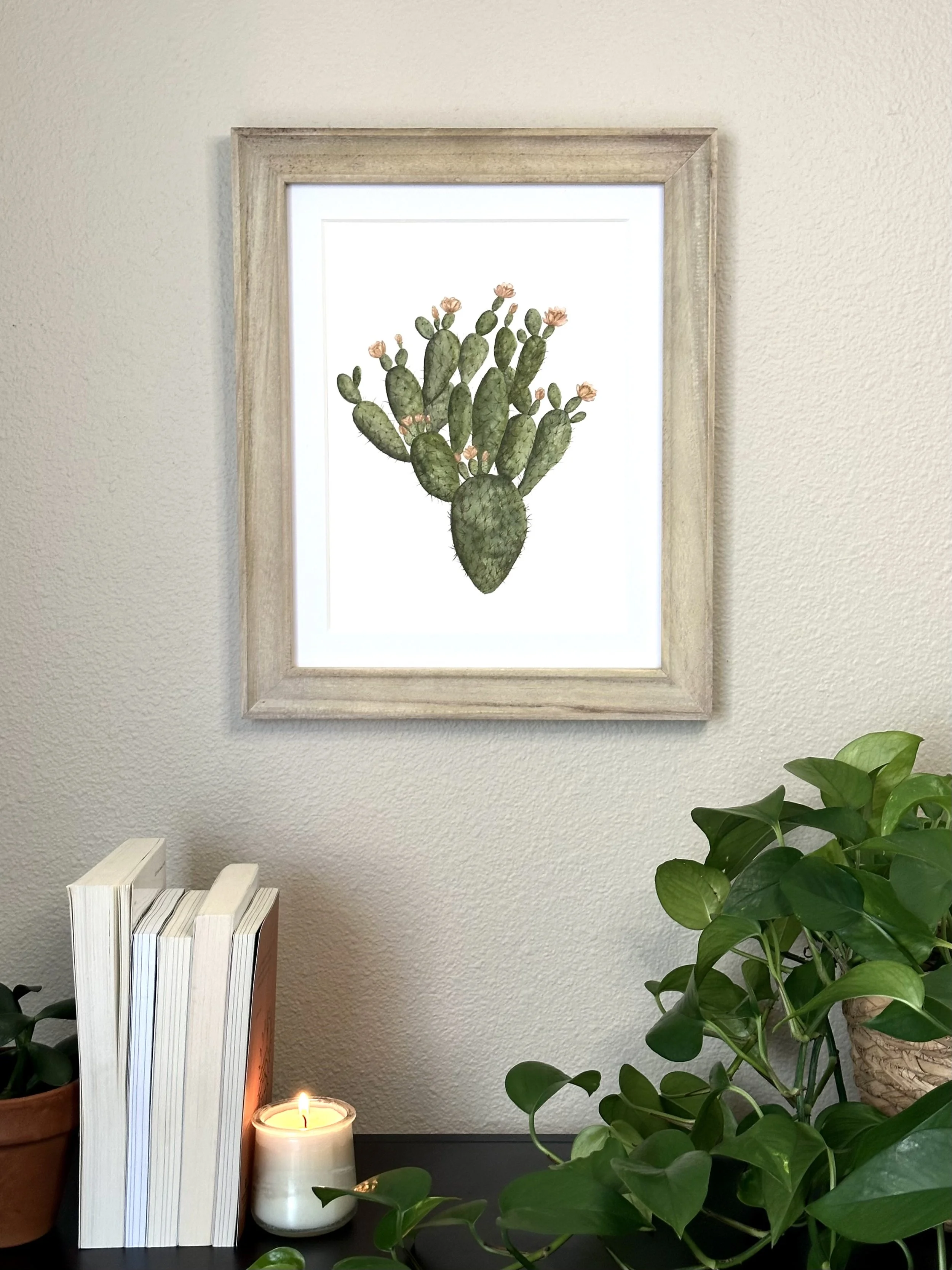 prickly pear cactus original