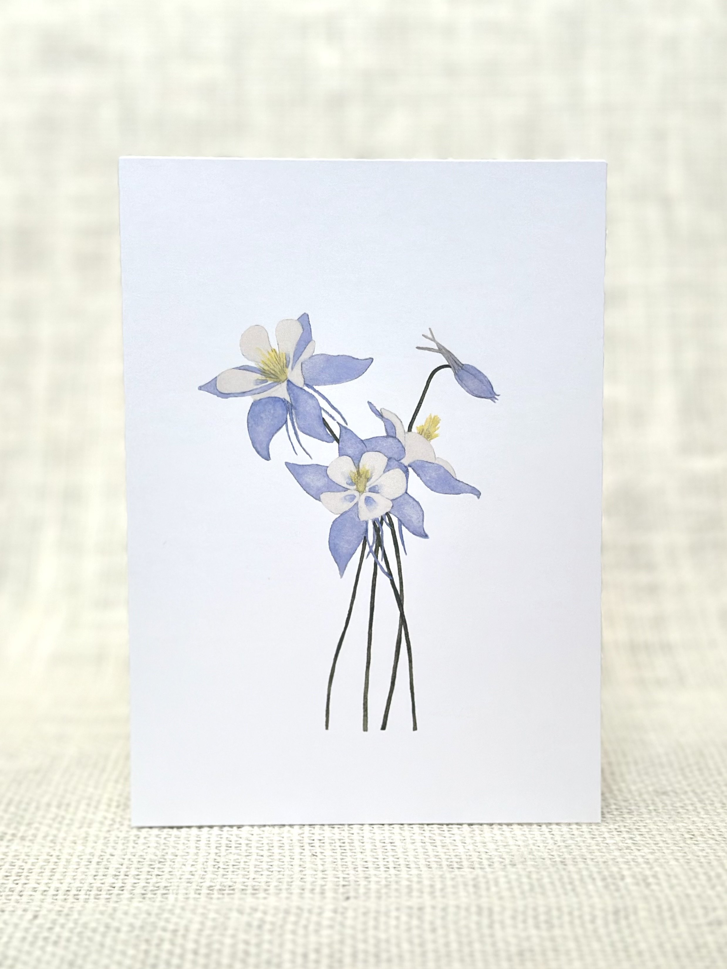 blue columbine - wildflower art print card
