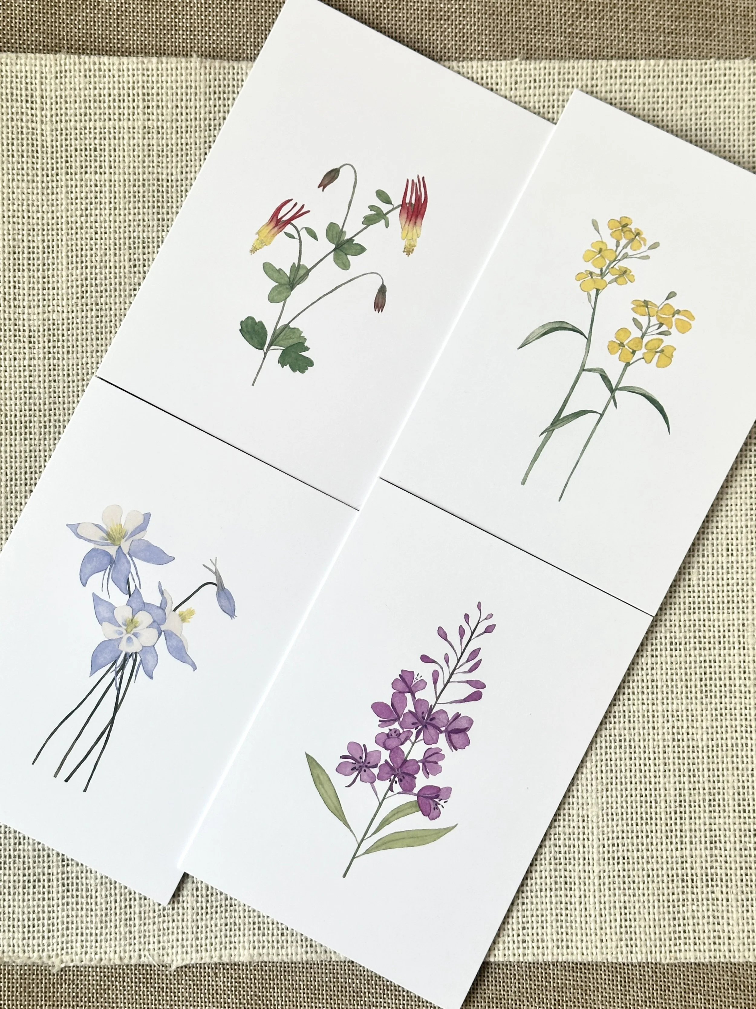 wildflower art print card set of 4