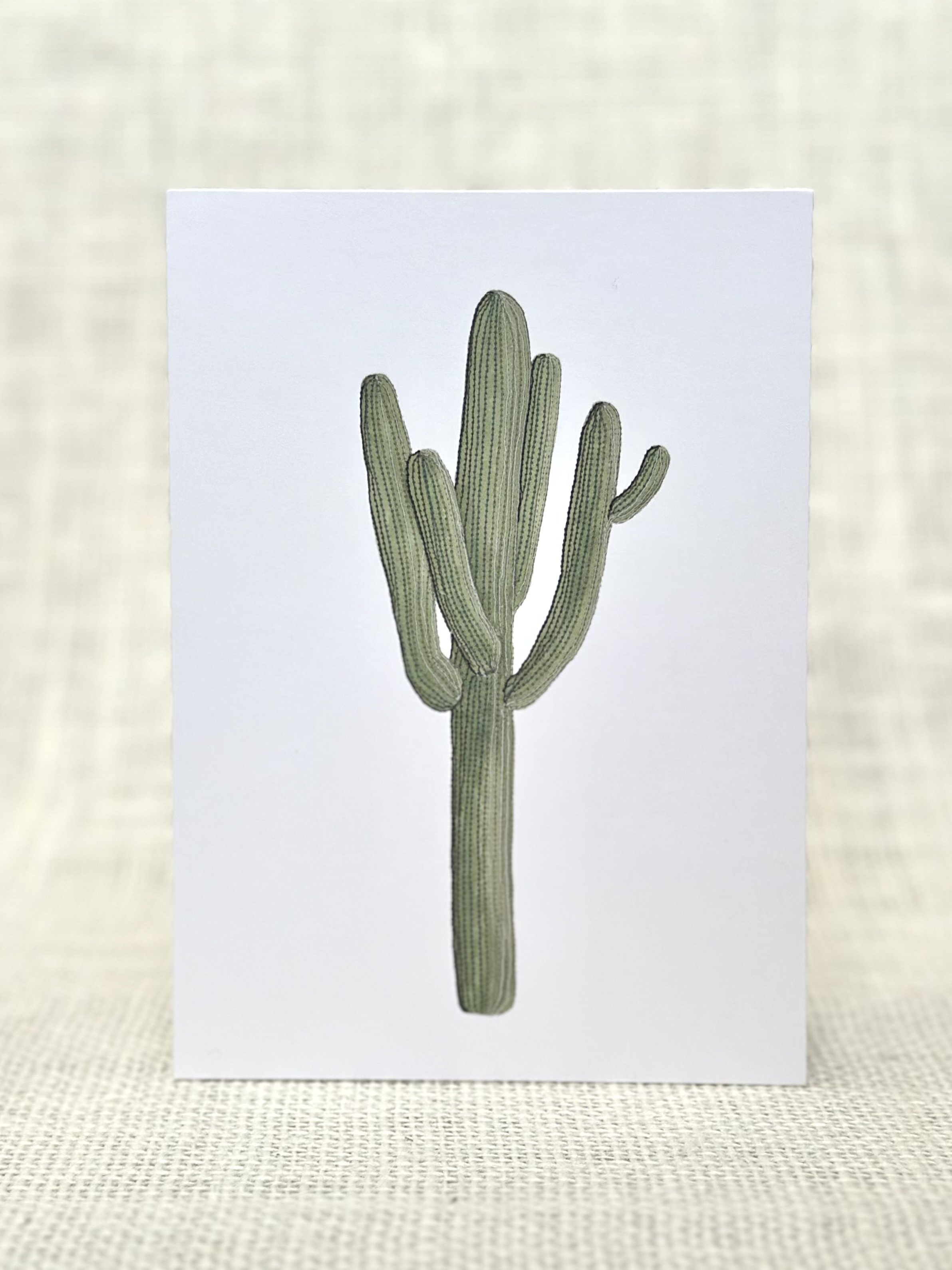 sewn saguaro - desert art print card