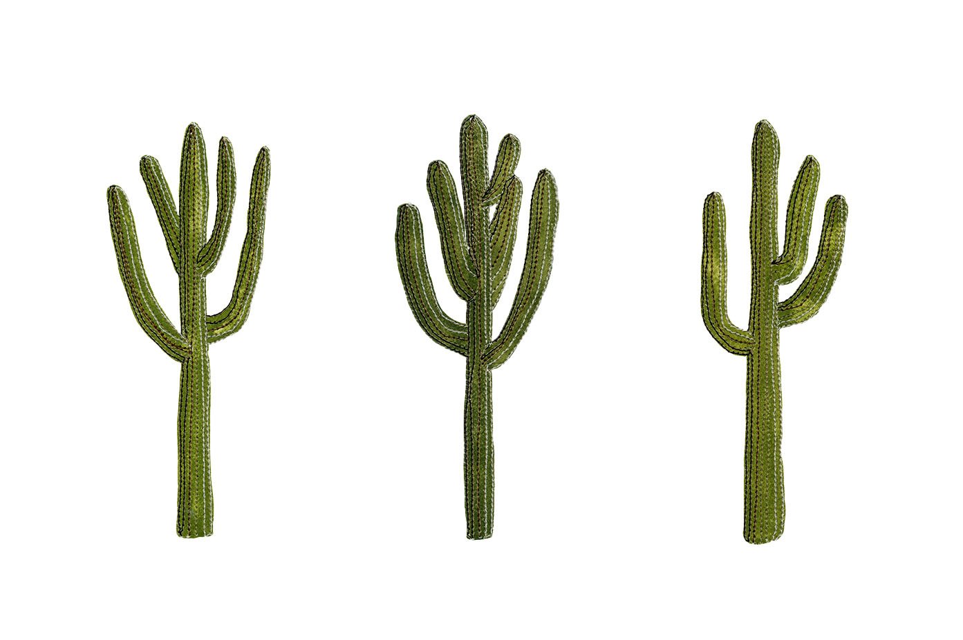 final_cactustrio.jpeg
