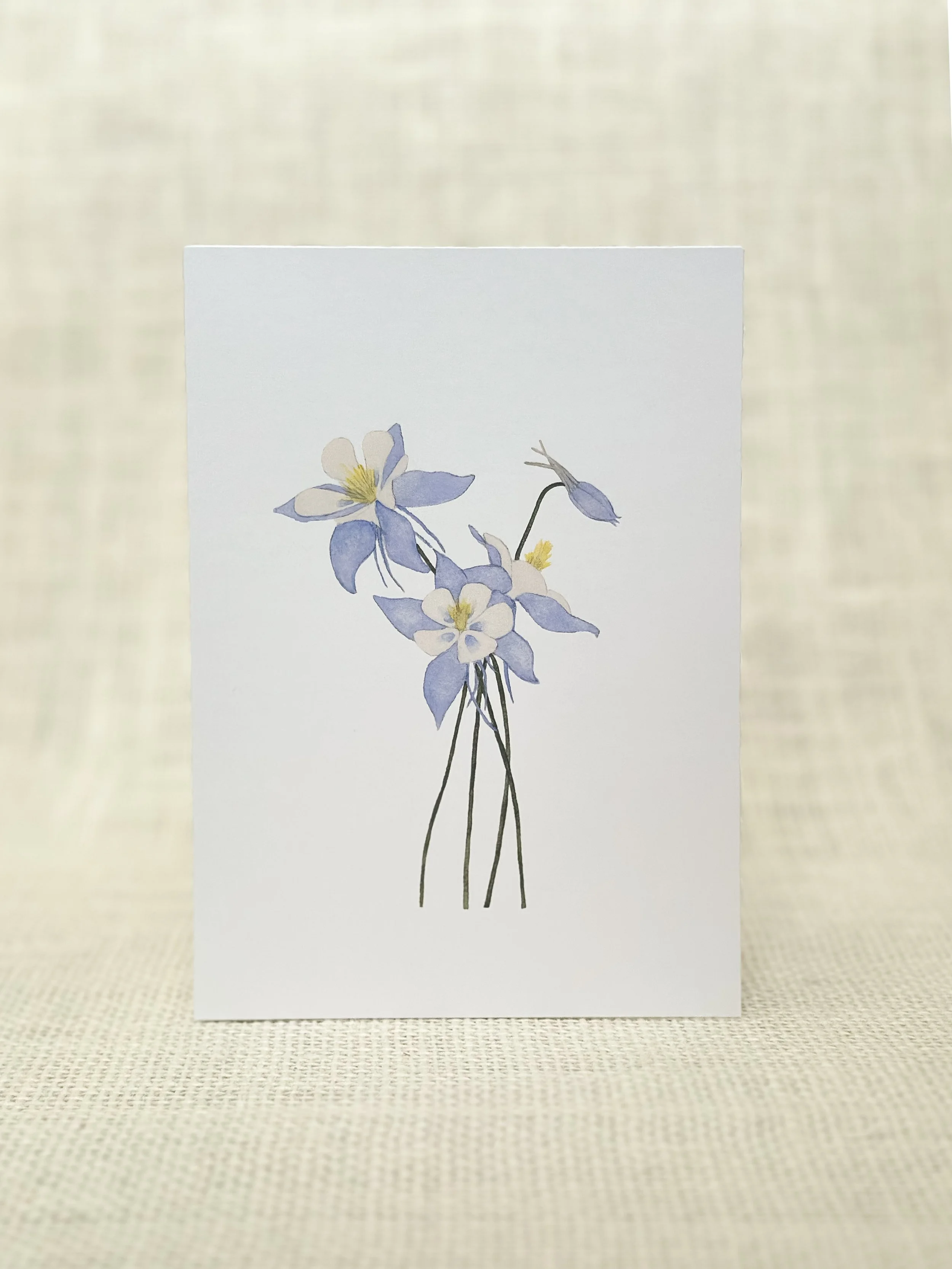 blue columbine - wildflower art print card