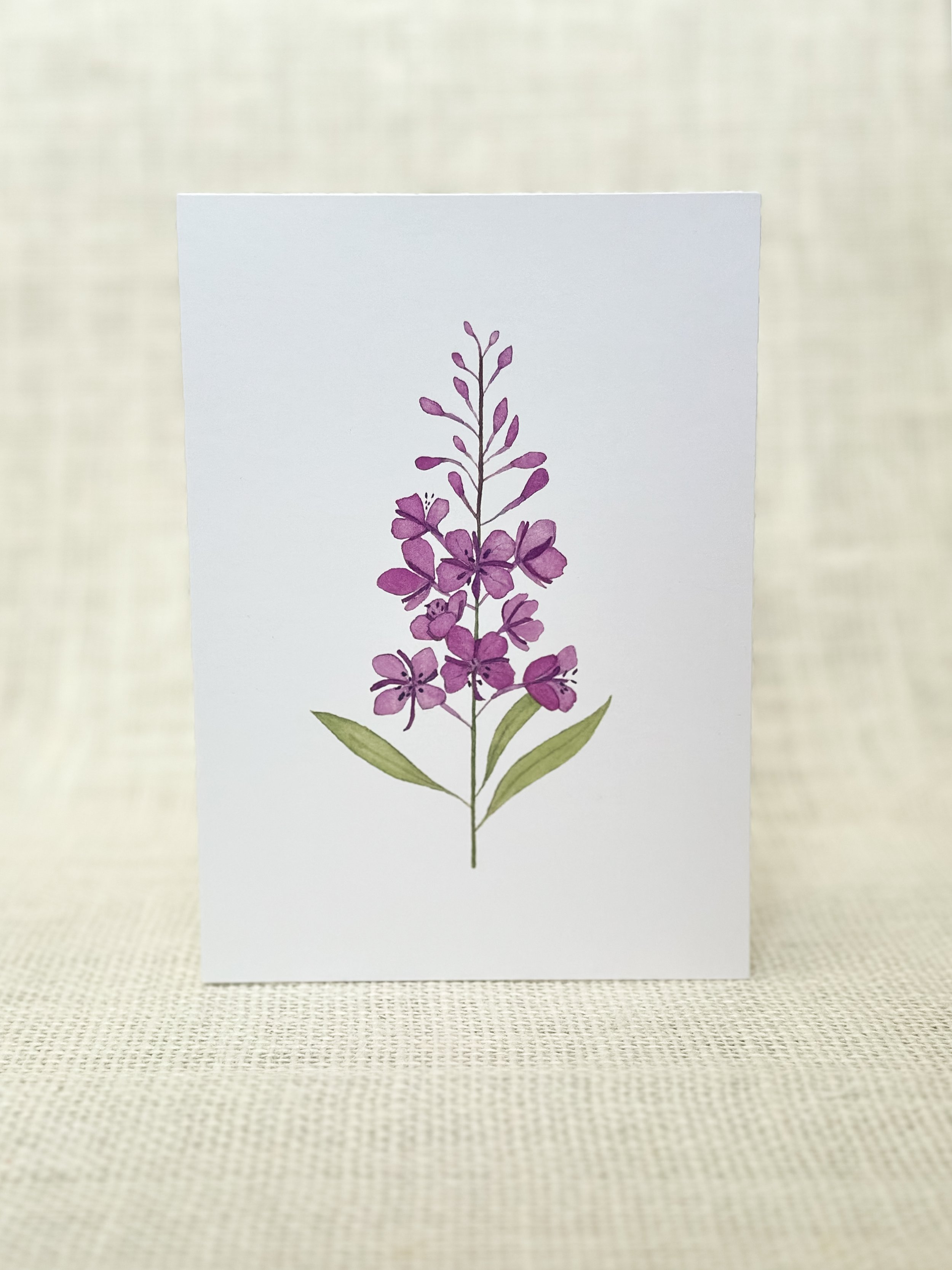 fireweed - wildflower art print card