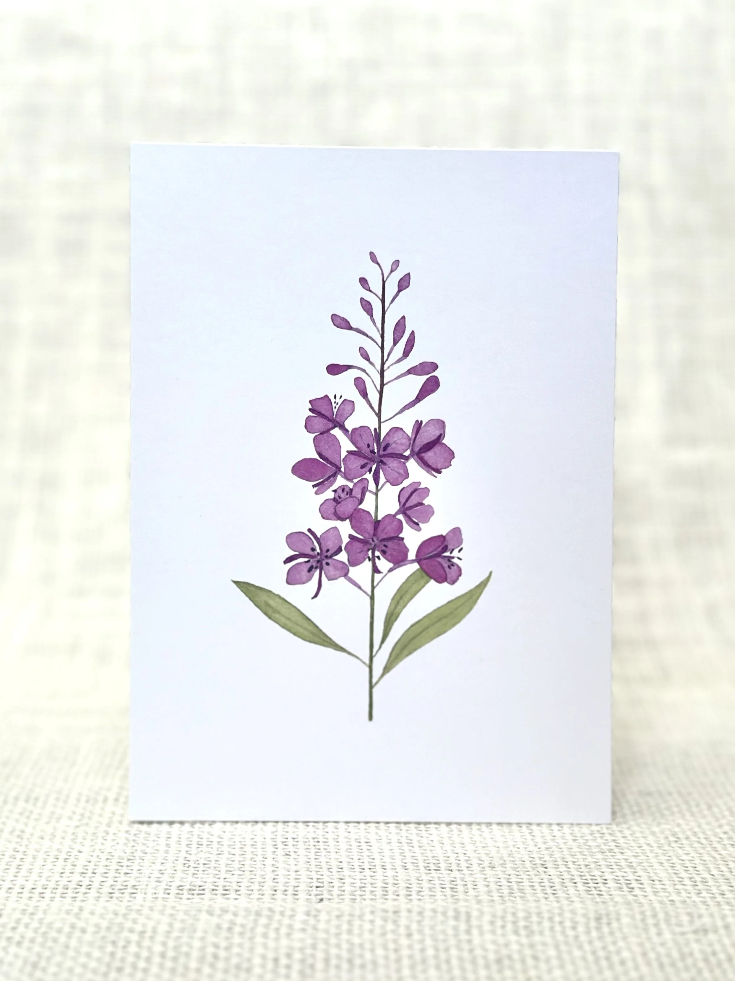 fireweed - wildflower art print card
