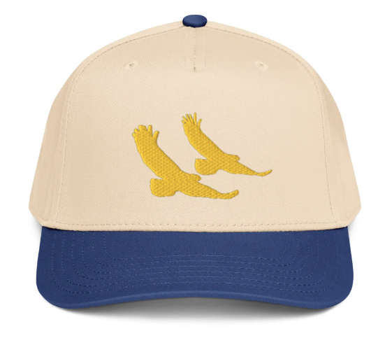 5-panel-mid-profile-baseball-cap-blue.png