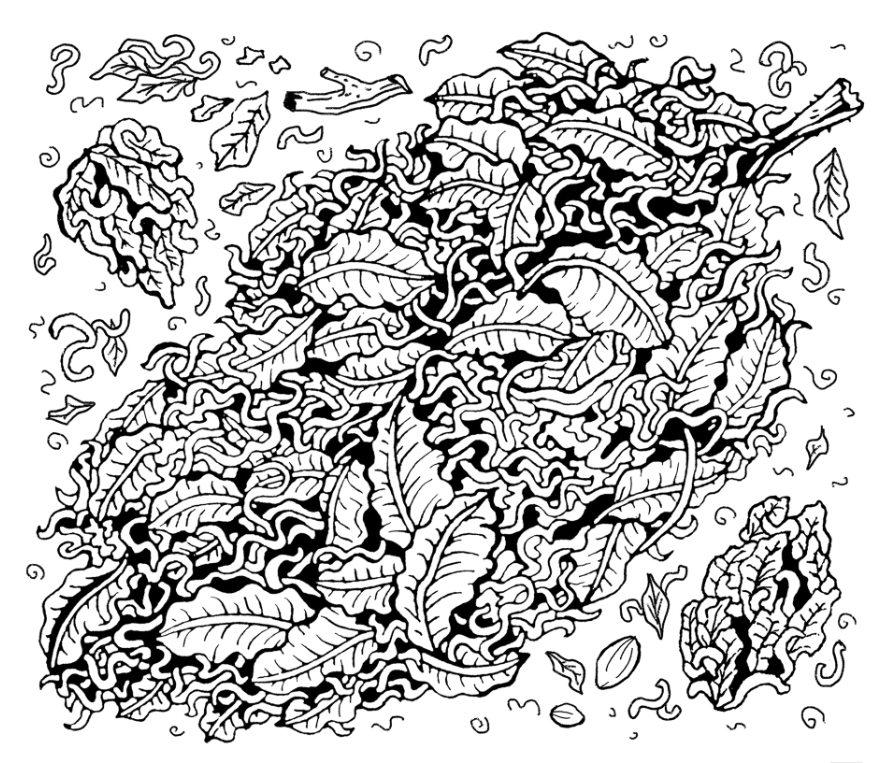 Screen Shot 2026-01-14 at 4.13.01 AM.png