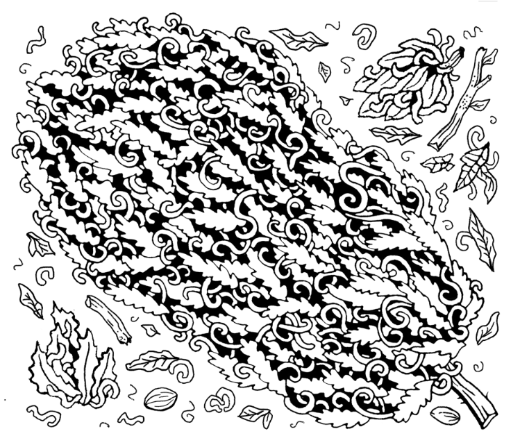 Screen Shot 2026-01-14 at 4.13.36 AM.png