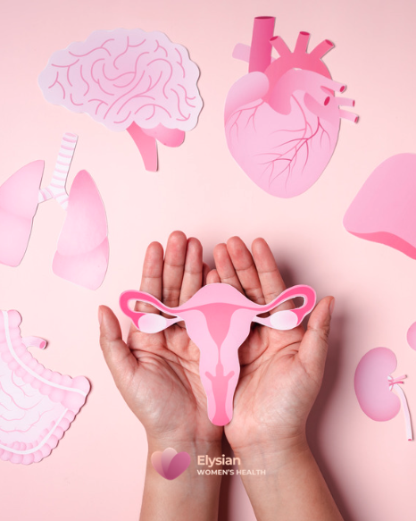 Uterine fibroids: symptoms, diagnosis and treatment options&nbsp;
