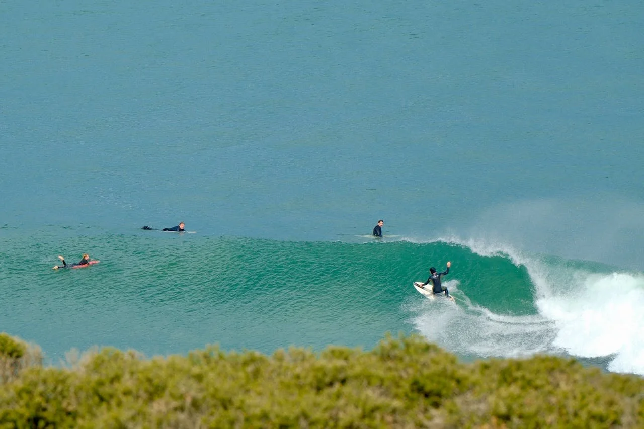 Mornington Peninsula Small Business Website Design.jpg