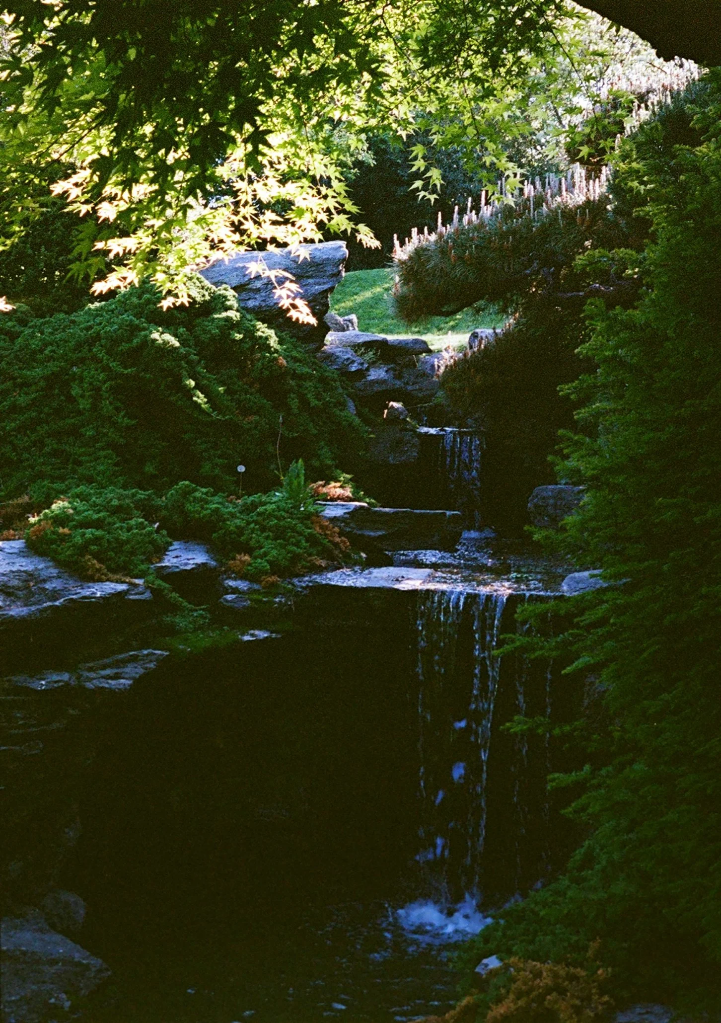 000163580057.jpg