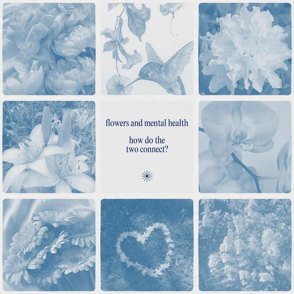 Which flower resonates most with you? 🌸🌺