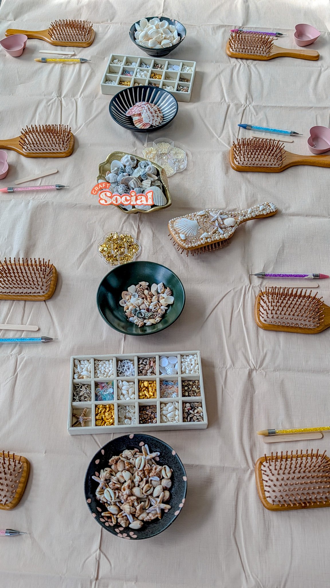shell brush craft social_20260118_213133875.jpg