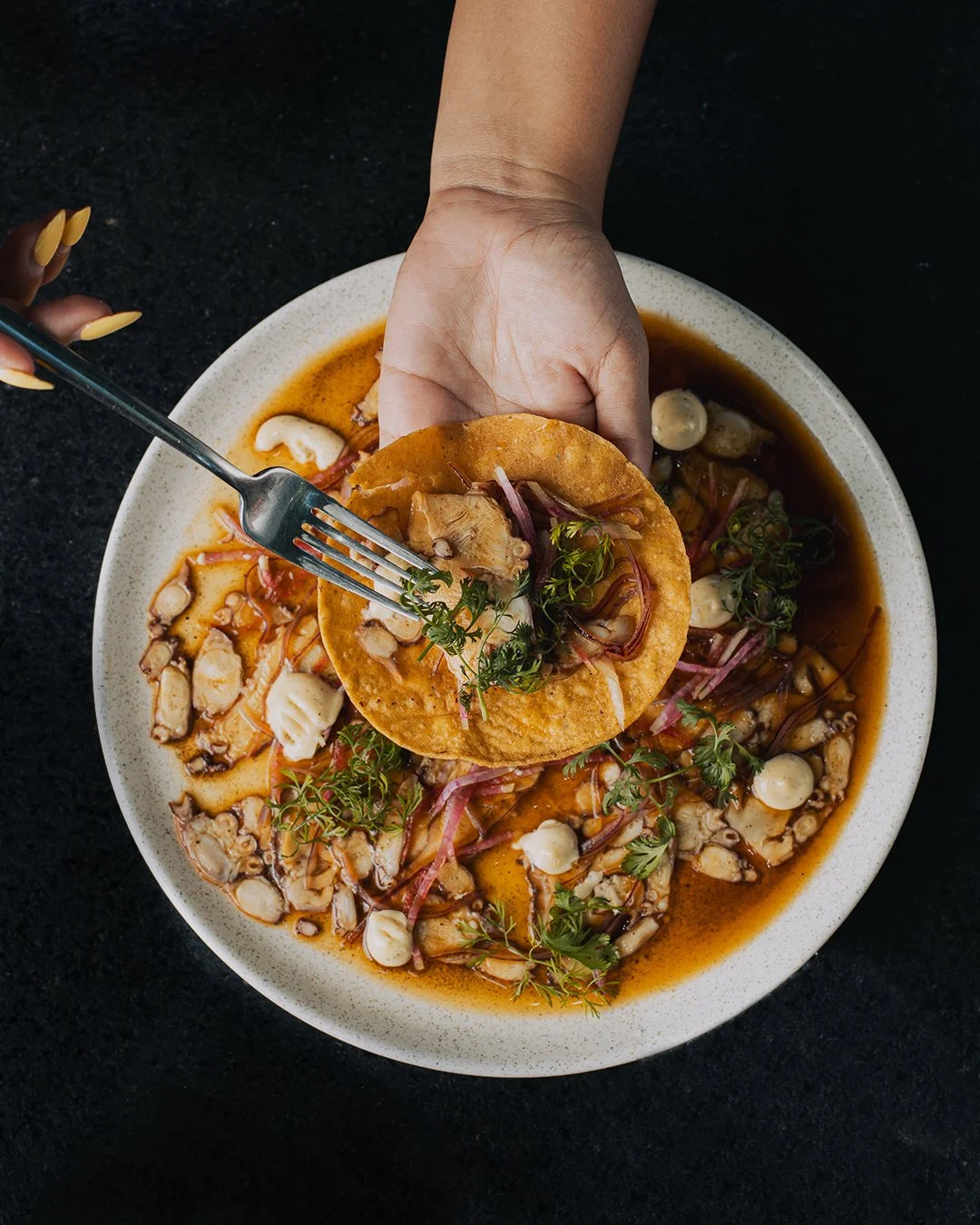 Our pairings are crafted to elevate every note, every bite, every moment.

Estacionamiento privado+ Valet Parking