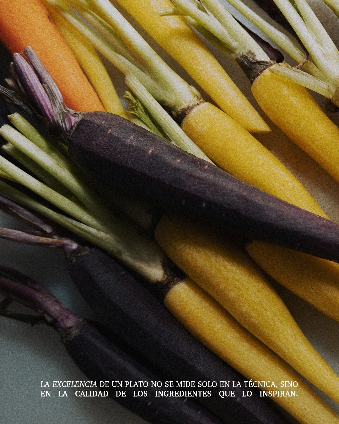 En el corredor gastron&oacute;mico de la 47.

+52 999 900 8324

#CentroHist&oacute;ricoM&eacute;ridaYucat&aacute;n