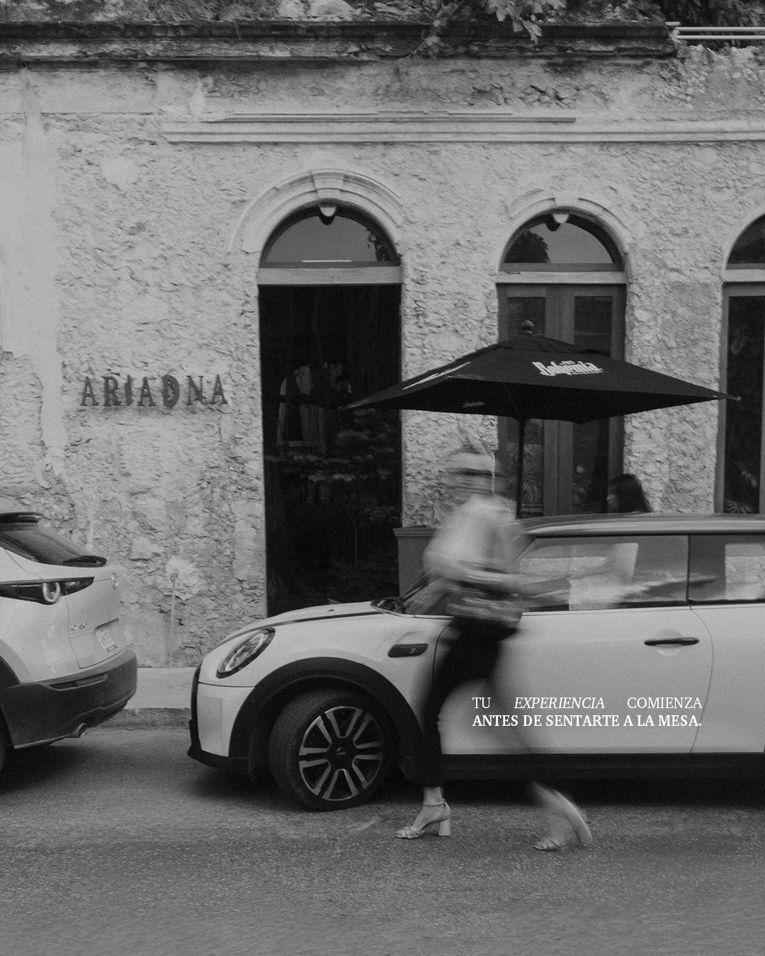 En Ariadna, cada detalle est&aacute; pensado para ti. Contamos con estacionamiento y servicio de valet parking.

 Reservation required via OpenTable or WhatsApp.

+52 999 900 8324