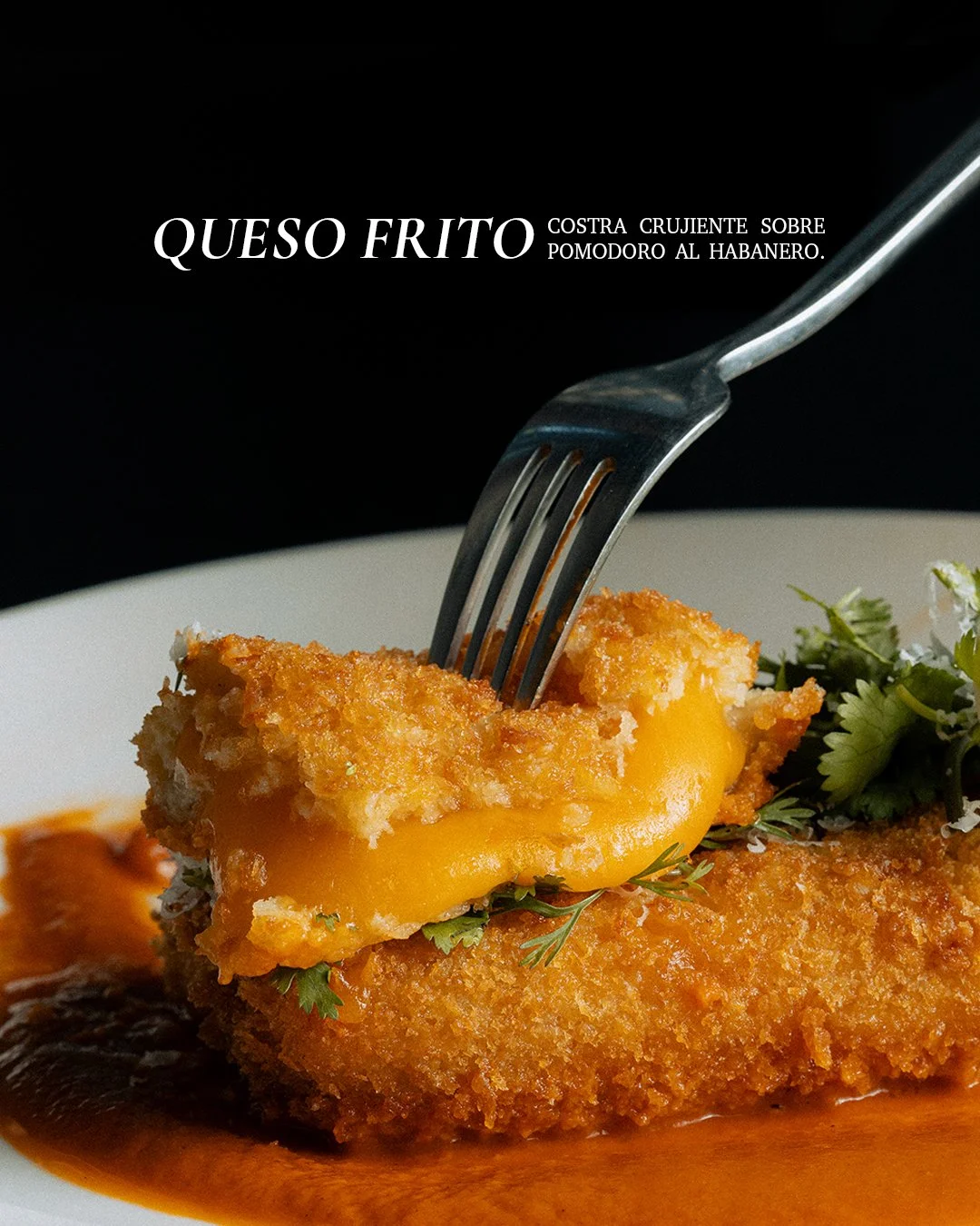 La hora del almuerzo merece sabor y calma. Ariadna te espera.

Estacionamiento privado + Valet Parking

Calle 52 #450C, Corredor Gastron&oacute;mico 47.