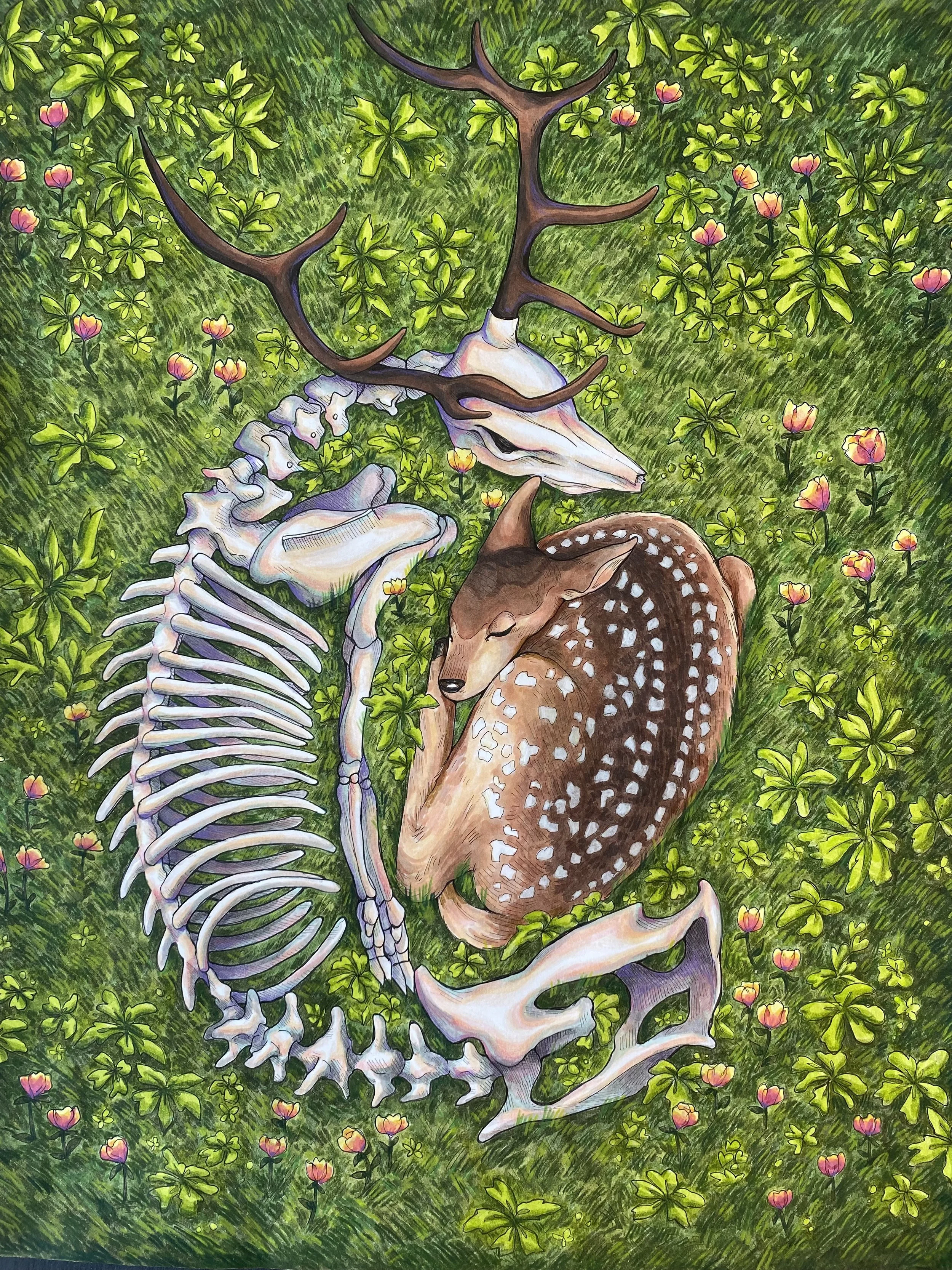 A painted illustration of a deer with a spotted coat, lying in a grassy field surrounded by plants and pink flowers, with a deer skull and bones near it.