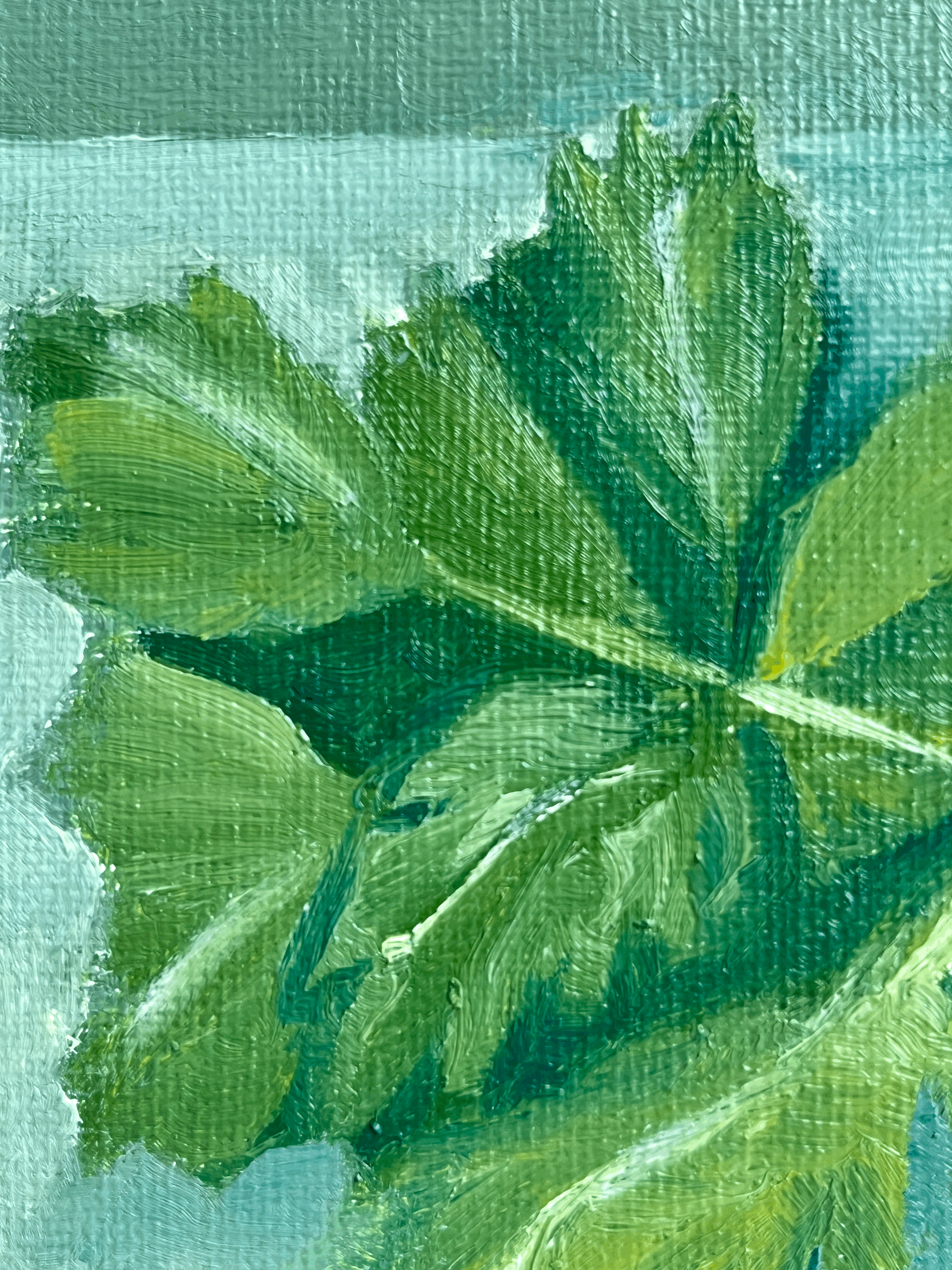 tempImageHDcKw4.gif