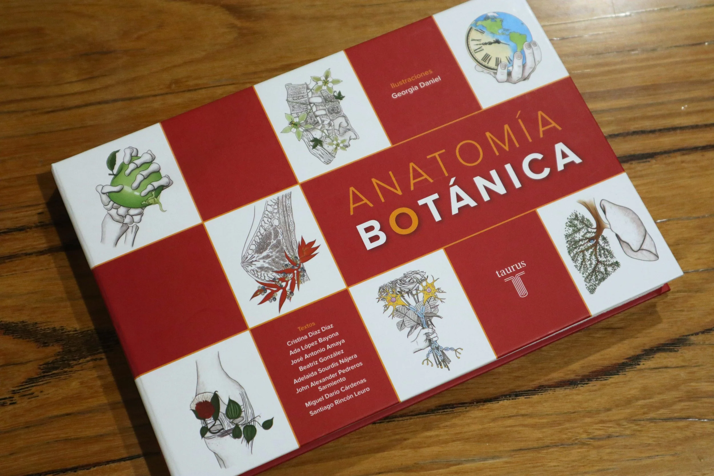 Anatomía Botánica