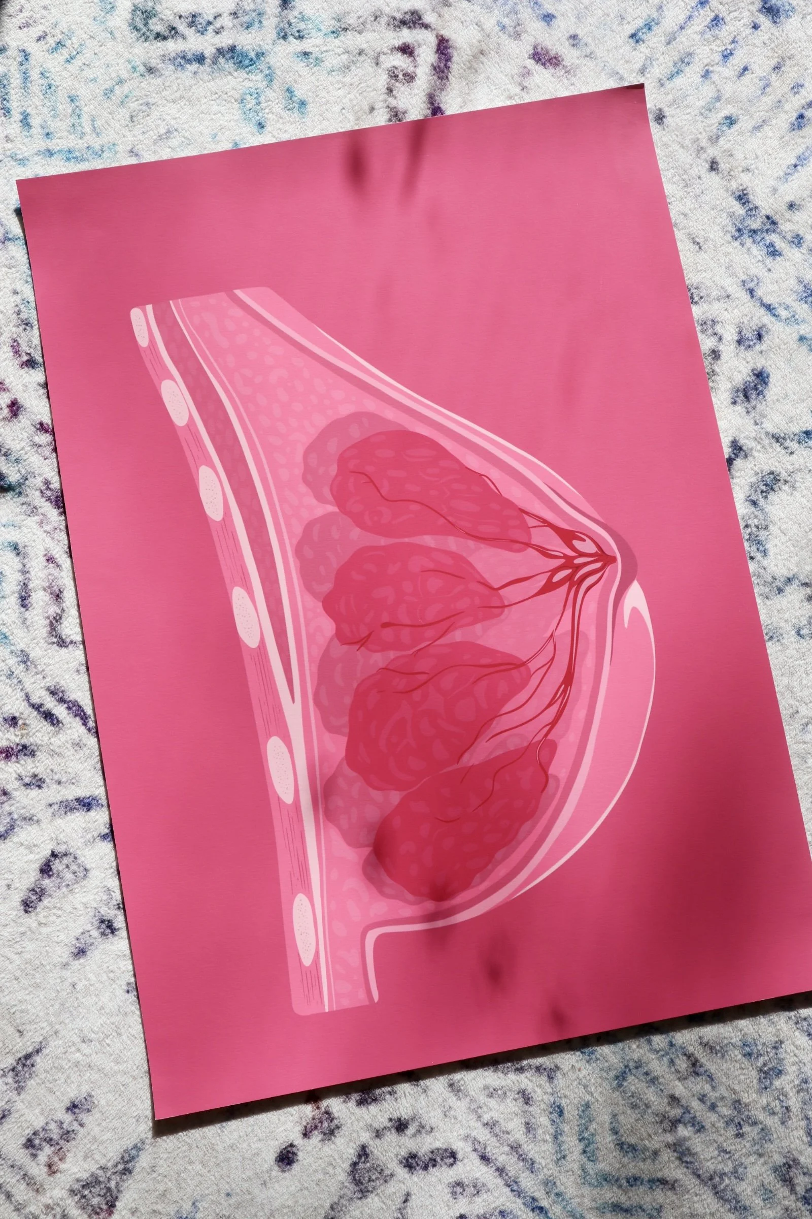 One of a kind Print | Simply the Breast | A2