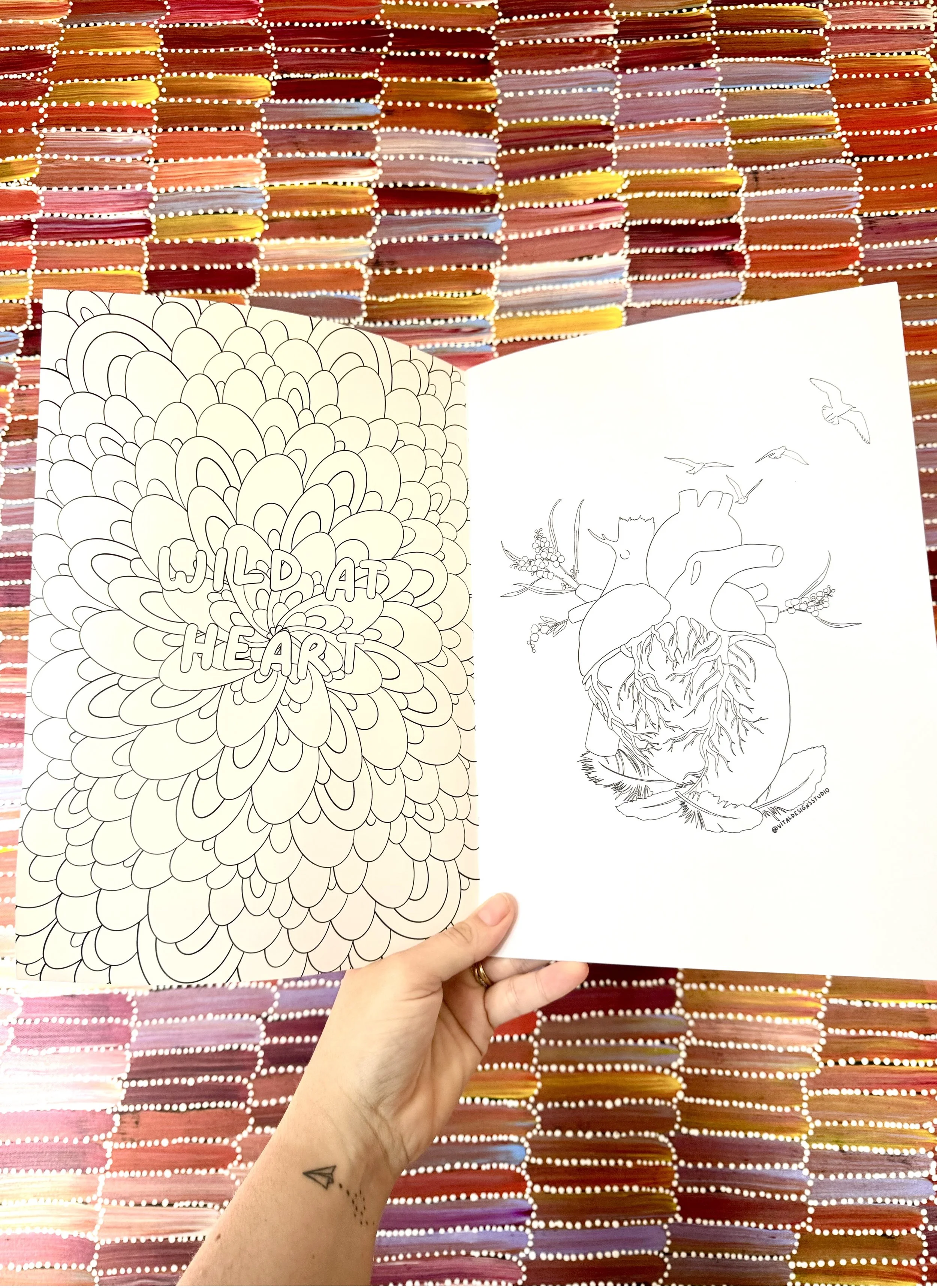 Vital Designs Anatomy Art Melbourne Colouring Book INSIDE.jpg